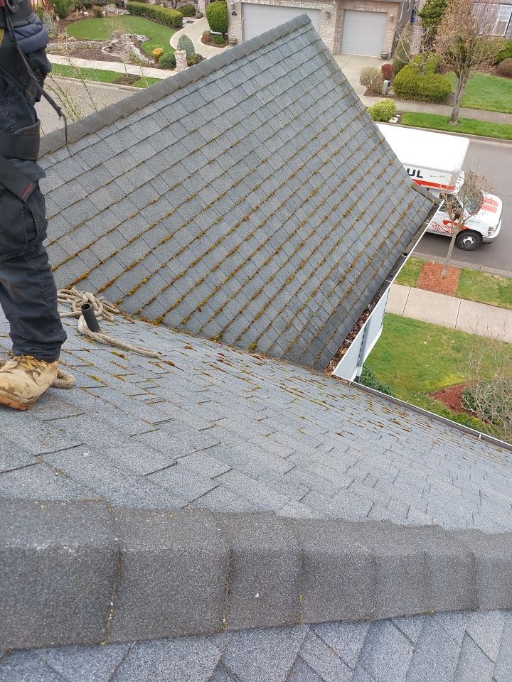 Roof Cleaning  using Moss Treatment  by BEST Roofing & Waterproofing