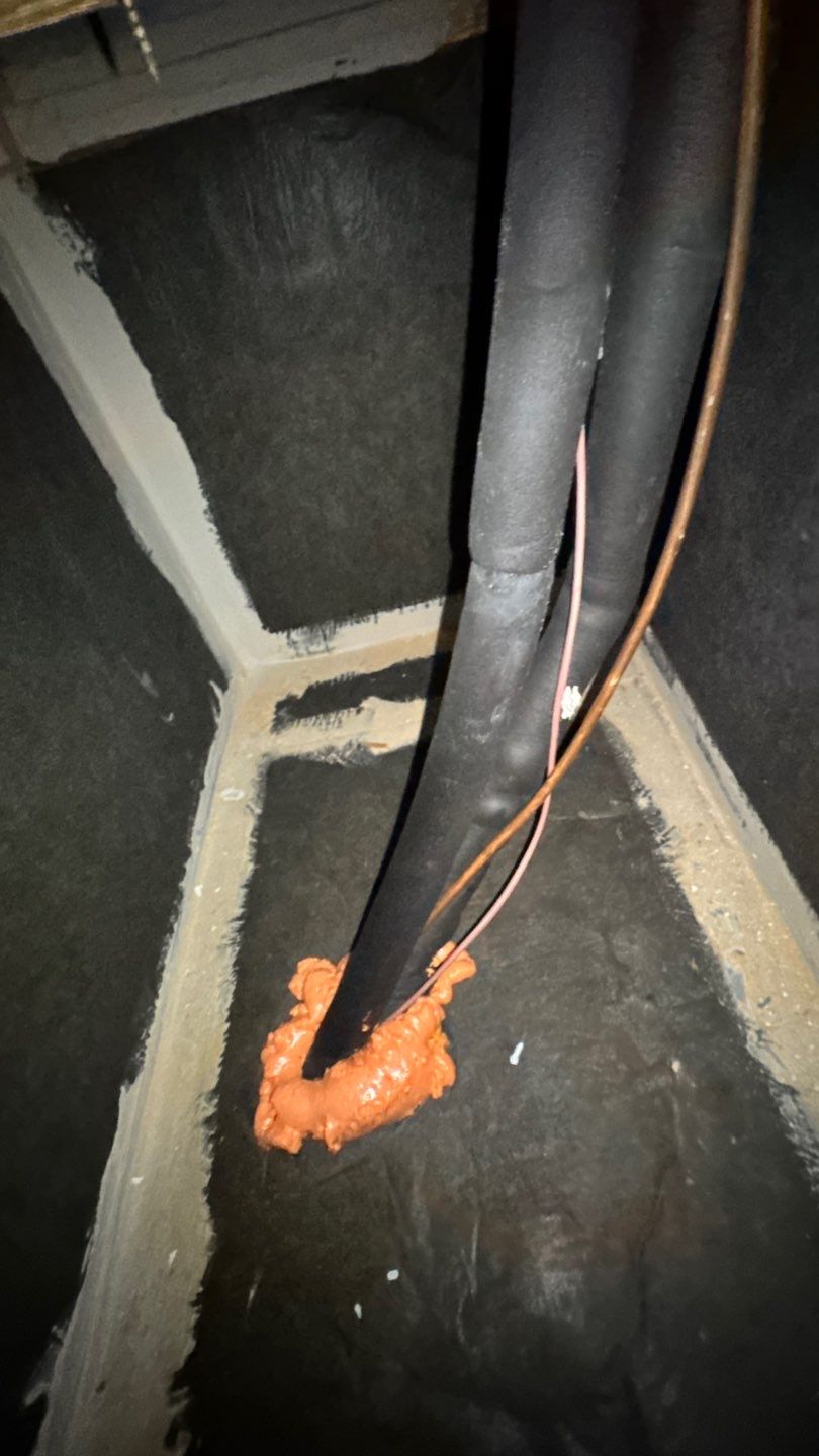 Air Duct Cleaning in Leesburg by Hygienic Air, Inc
