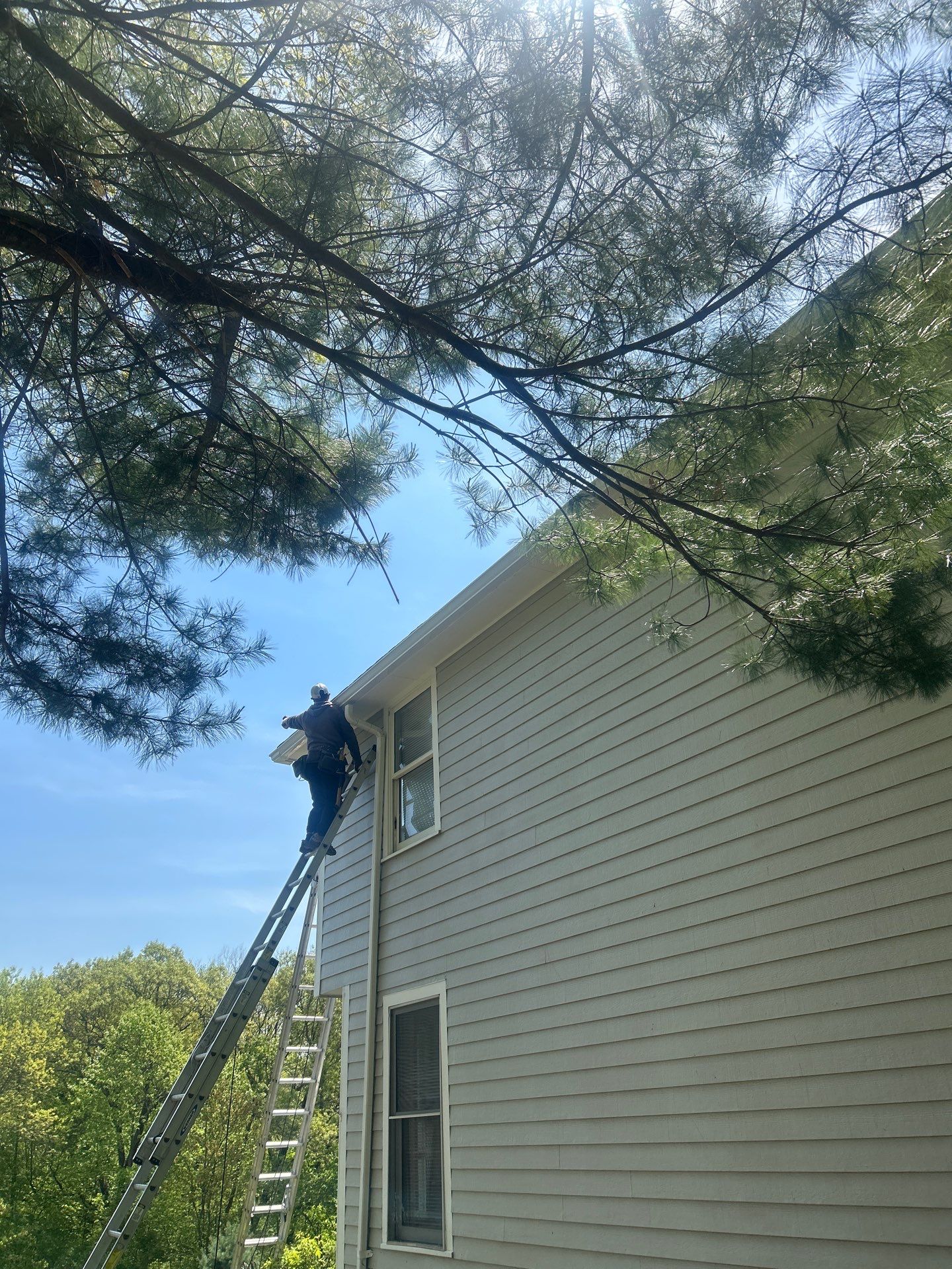 Gutters, Roofing & Siding | Andover by Mighty Dog Roofing of Greater Middlesex County