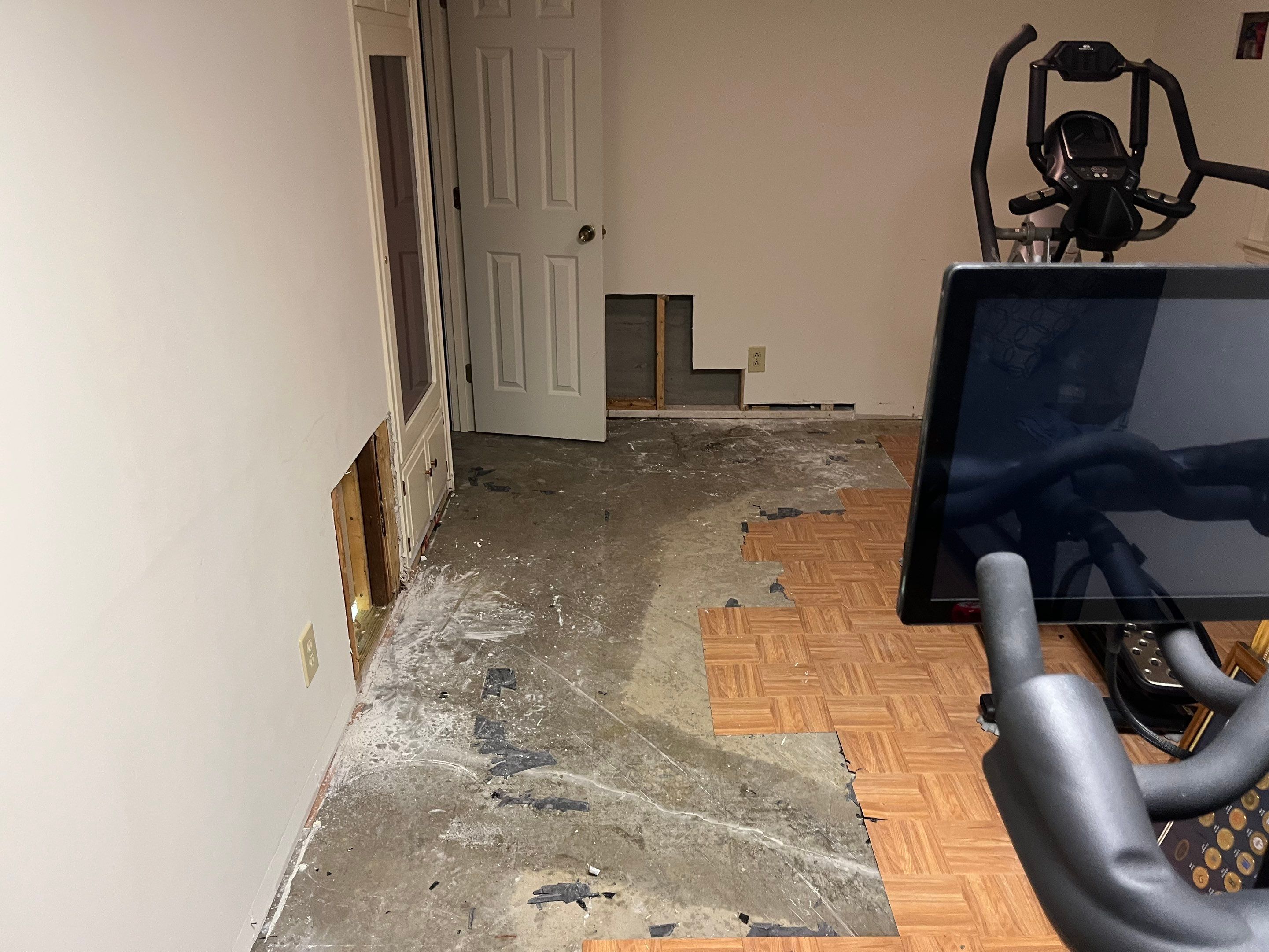 Water Mitigation and Restoration by ANR Restoration