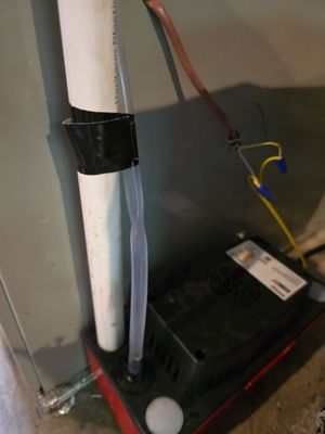 Project in Portland