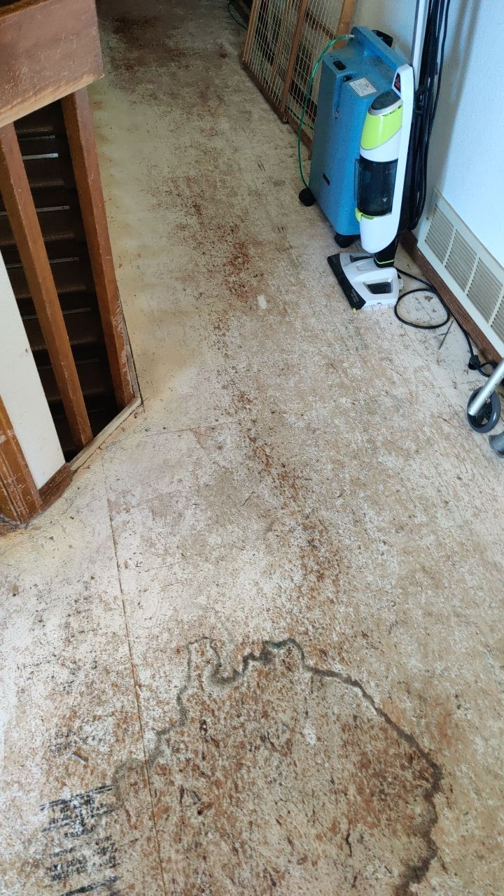 Water Damage  by Accountable Home Services