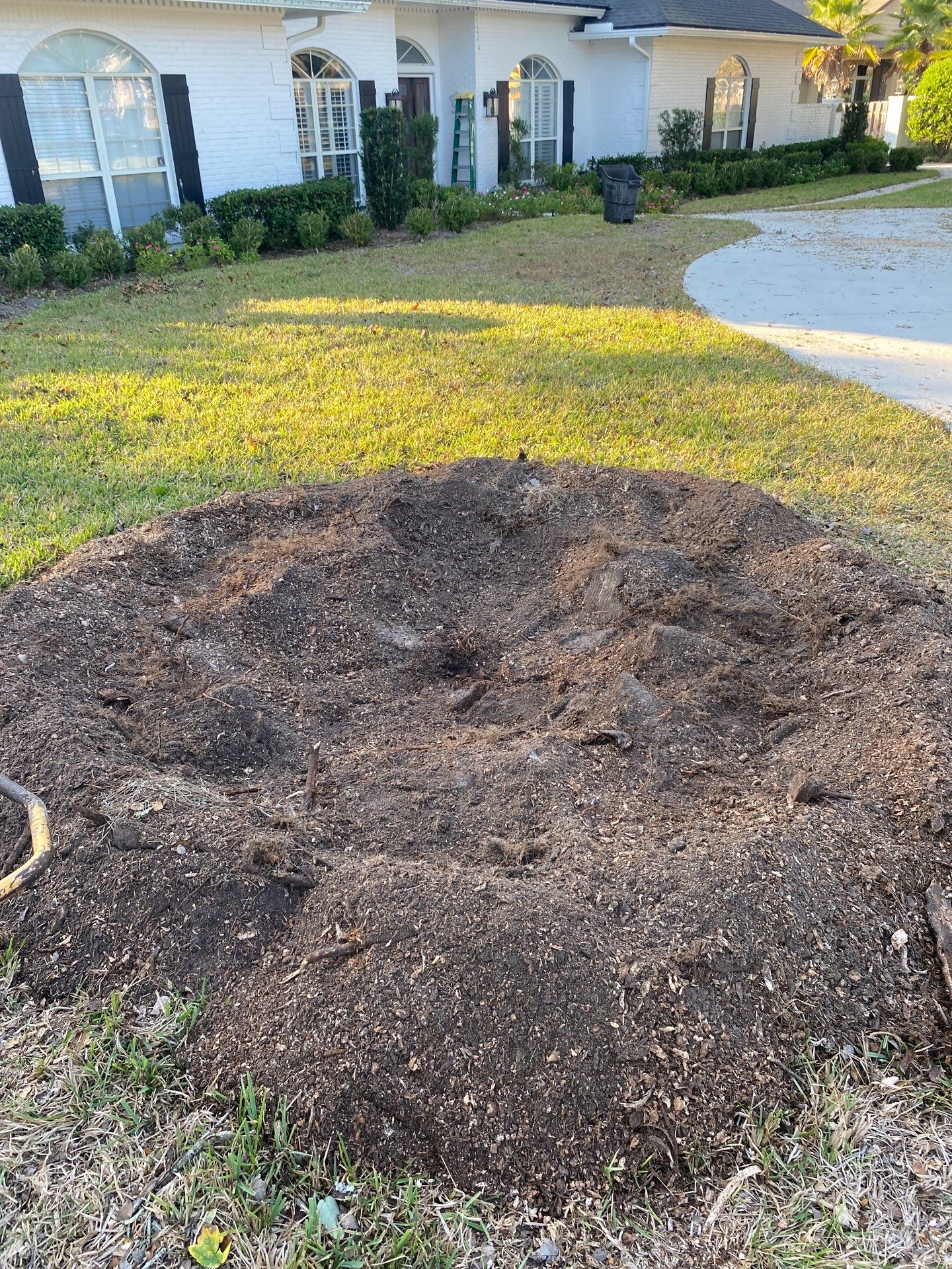 Deerwood Resident | Tree Removal & Shrub Shaping by ProGreen Services