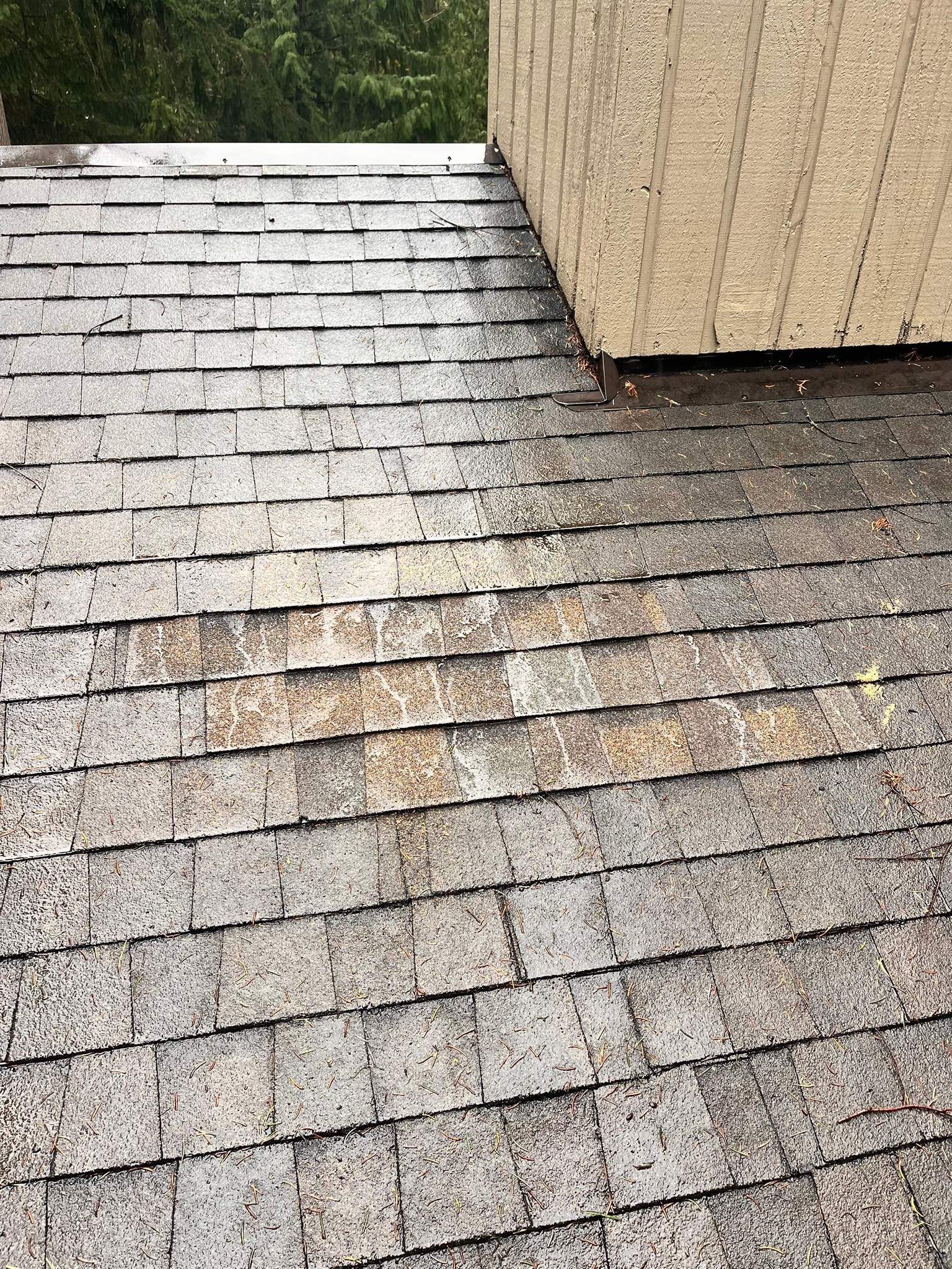 Residential Roof Repair in Bainbridge Island, WA by Hanley Construction