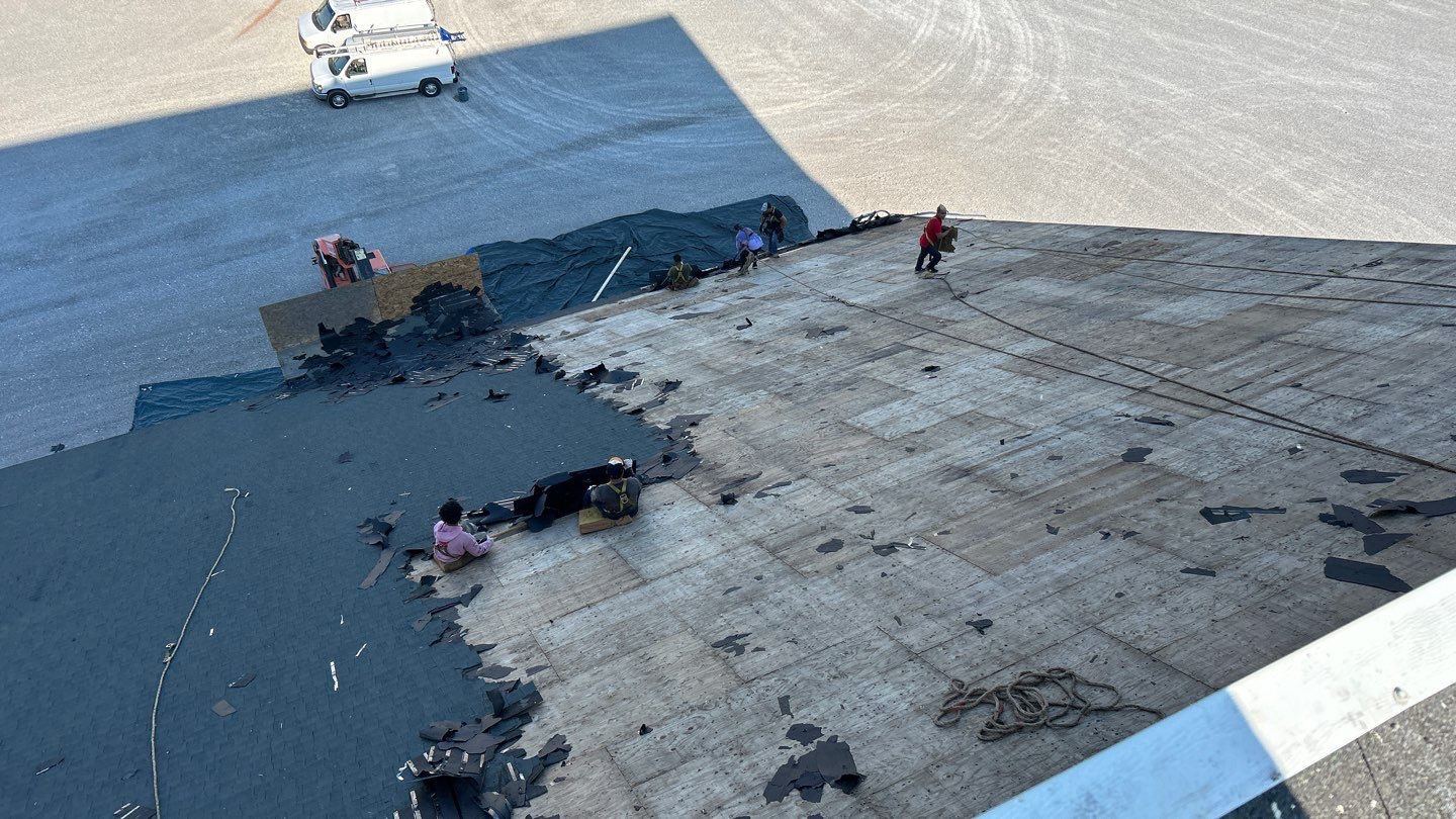 Commercial Roofing Installation using Timberline HDZ Shingles - Hunter Green by RoofX 