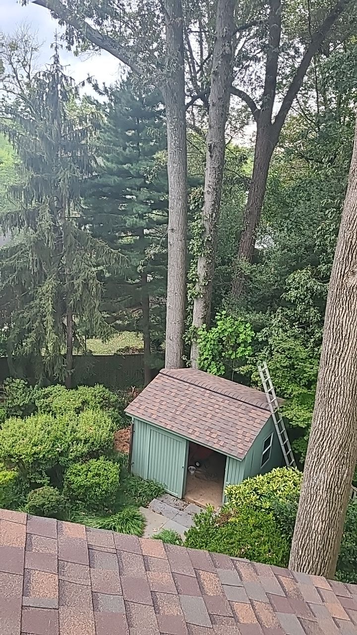 Arlington: CertainTeed Landmark Pro Designer Shingles in Max Def Heather Blend by RM Banning, Inc.