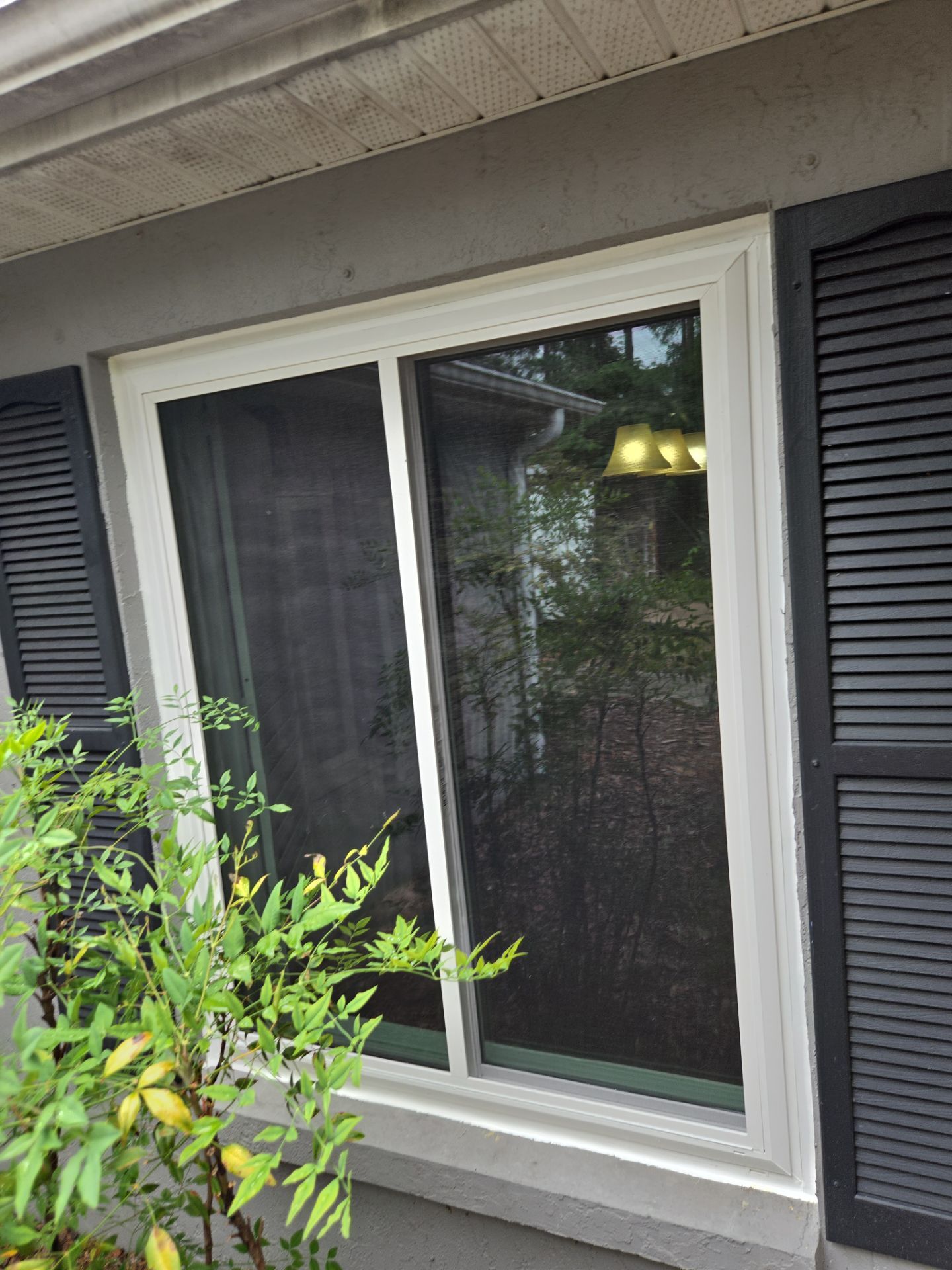 Complete Window and Glass Door Replacement for Gainesville Residence by Windows & Doors Store