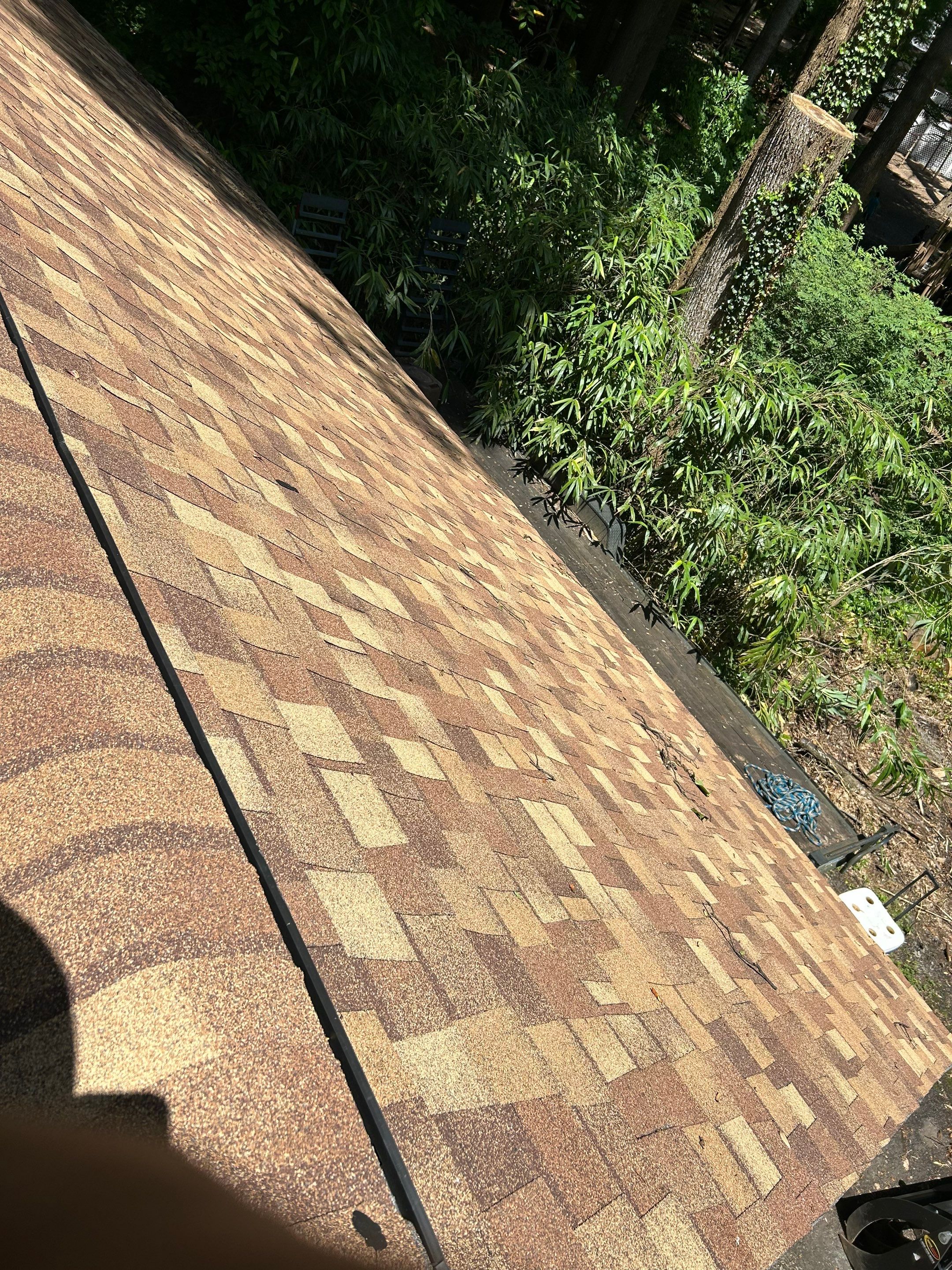 Annandale: Multi-Trade Tree Damage Restoration by RM Banning, Inc.