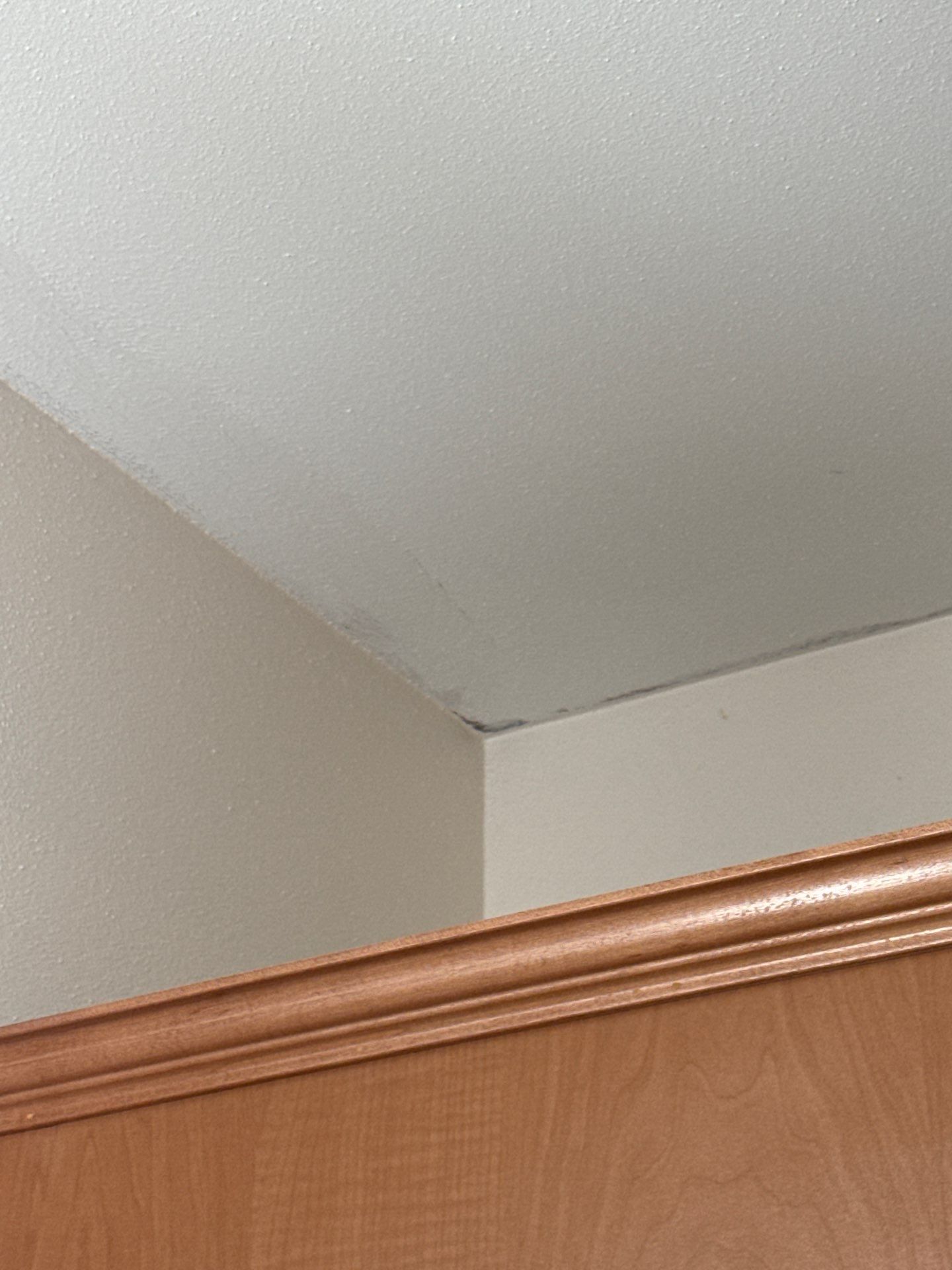 Interiror Wall and Ceiling Finishing by OCS Contracting Services