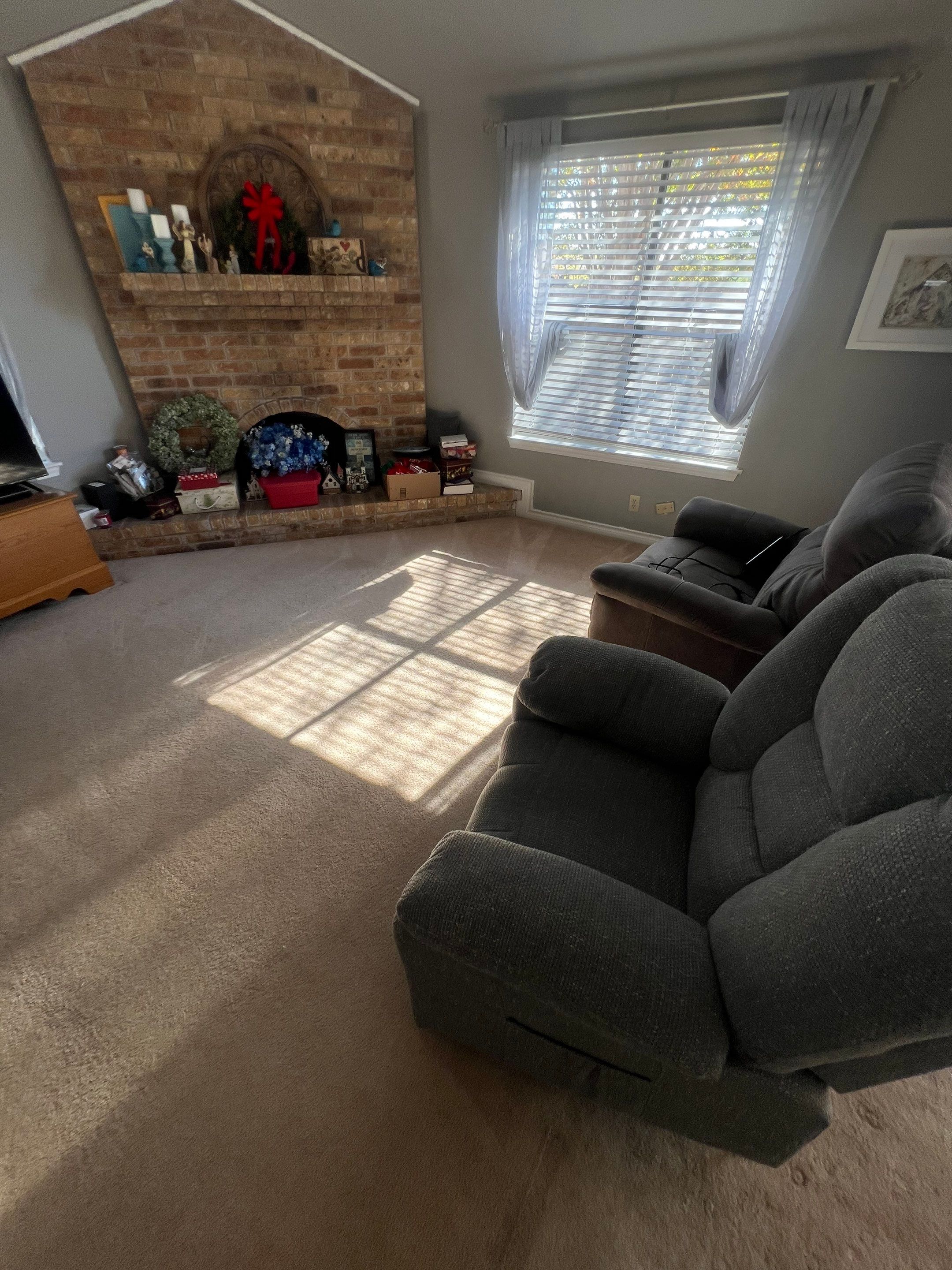 the service being done is carpet cleaning in a living room area with visible furniture and sunlight streaming through the windows