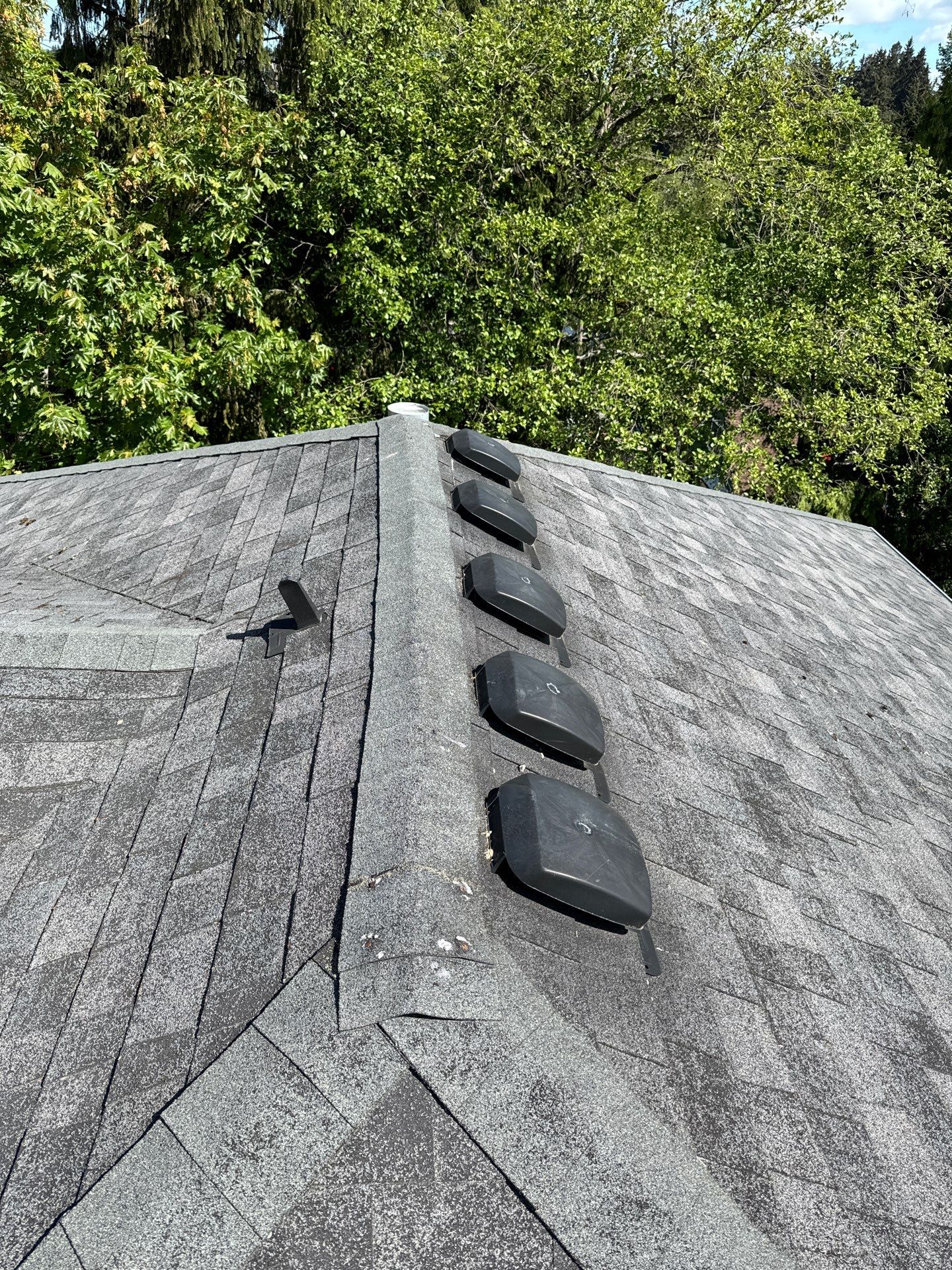 Project in Seattle by Peaks and Valleys Construction