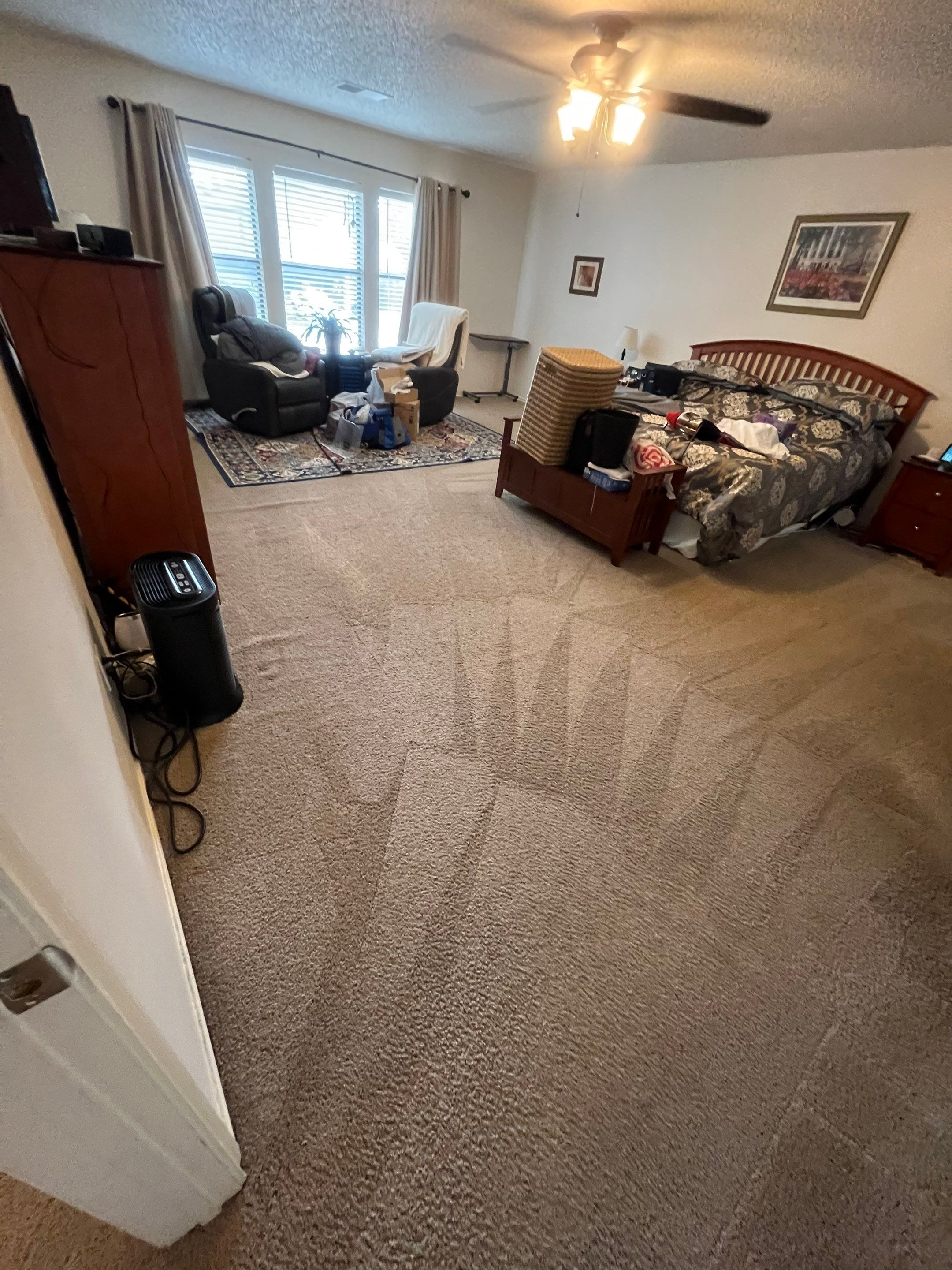 the service being done is carpet cleaning making the floors look fresh and revitalized