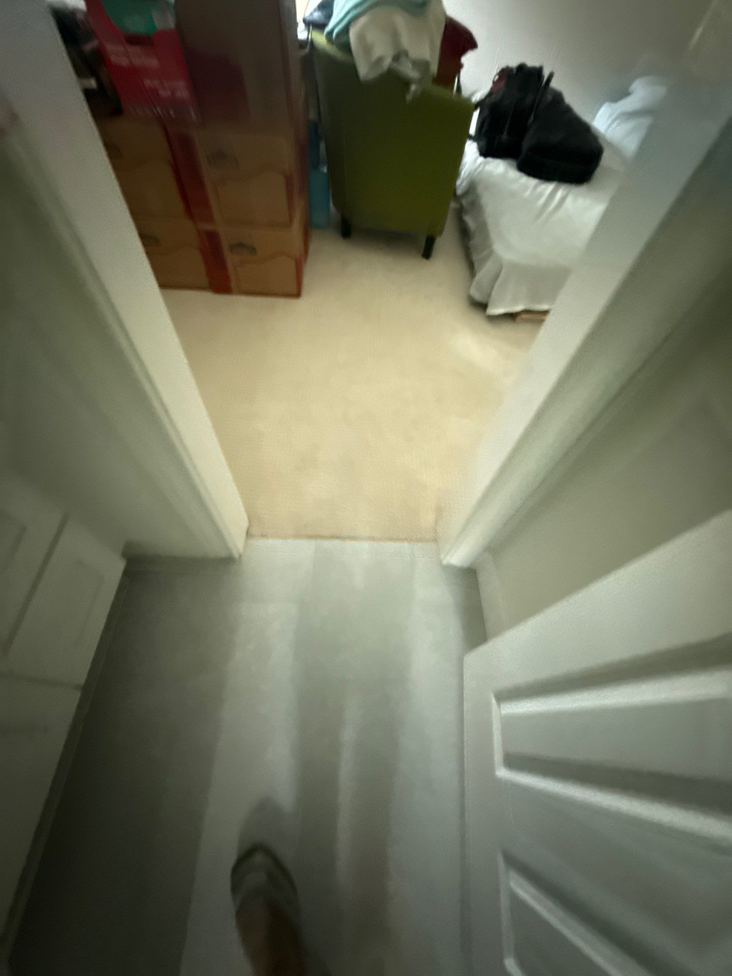 The Napolitano Family by SophAlx LLC