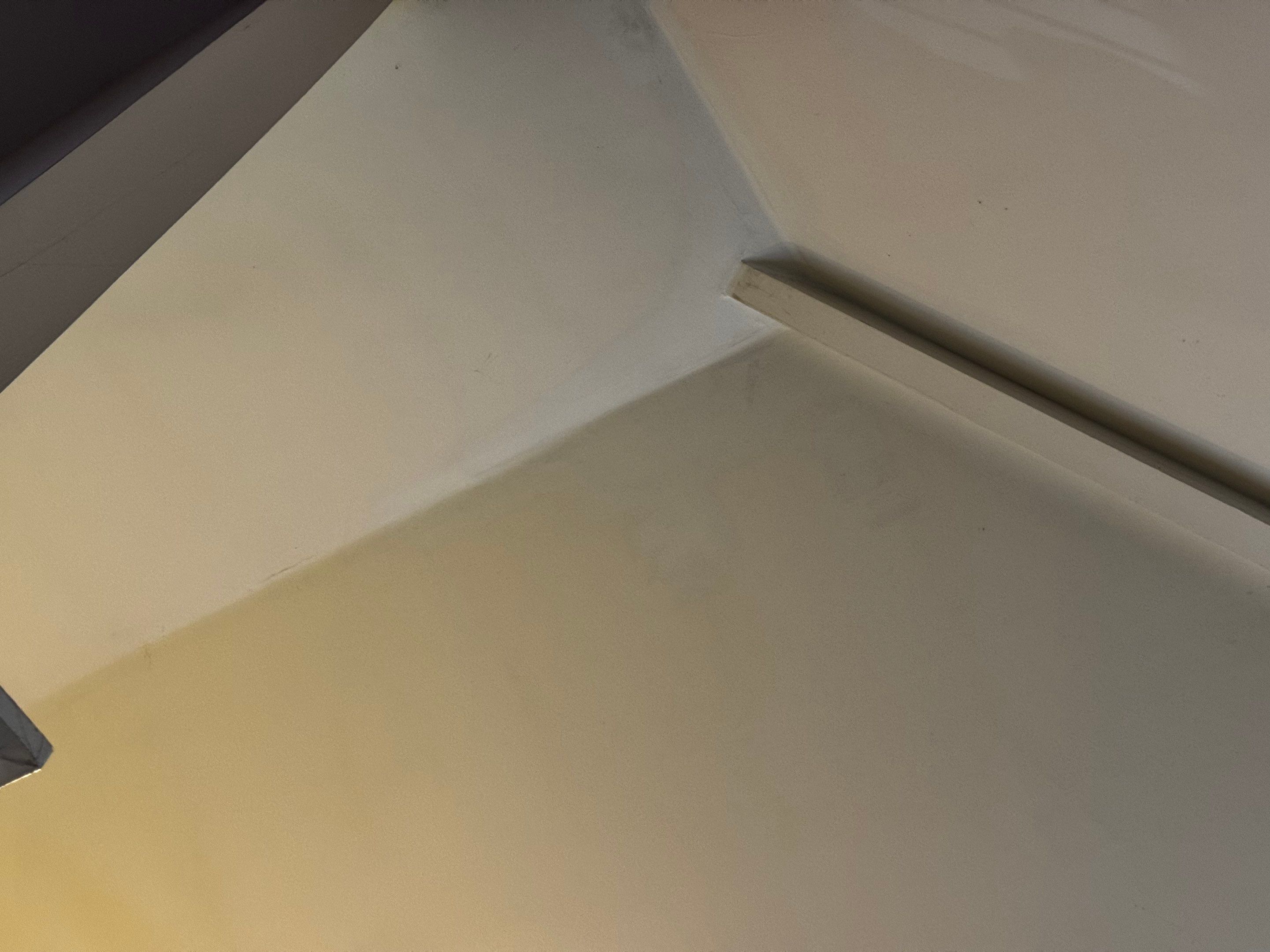 Ceiling Repair & Exterior Fascia Replacement by Praise God Painting, LLC