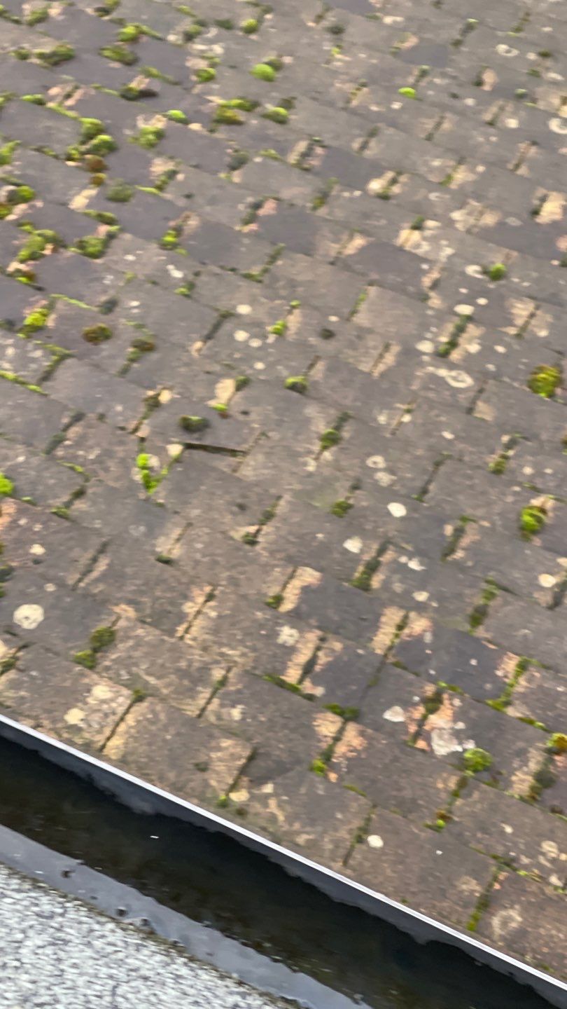 Roof Clean - Biocide Treatment using Honda 15lpm Low Pressure Washing Machine by Ges Exterior Cleaning ltd