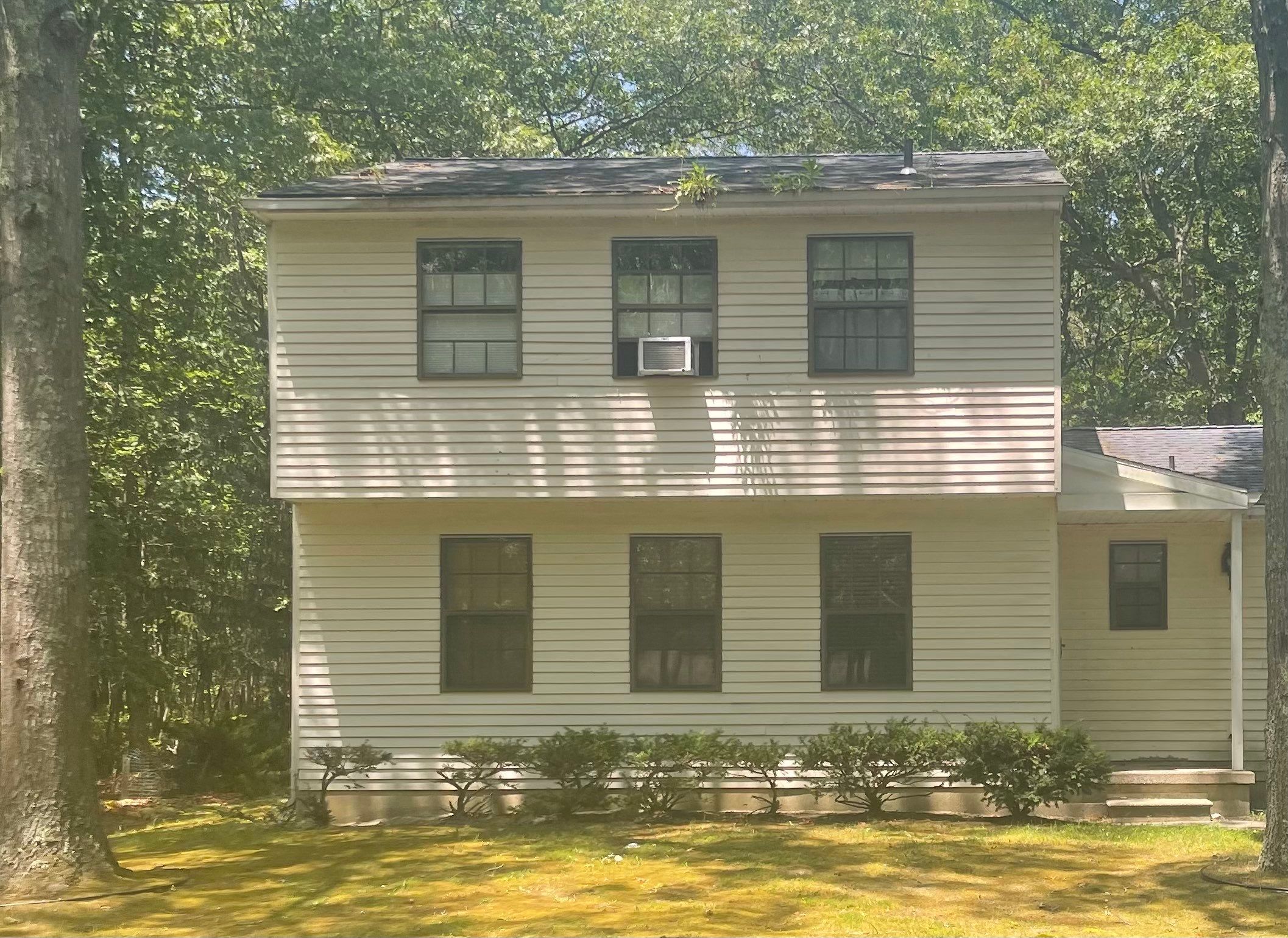 Residential Cleaning using Carbon Fiber Polls & Blower by SJ Exterior