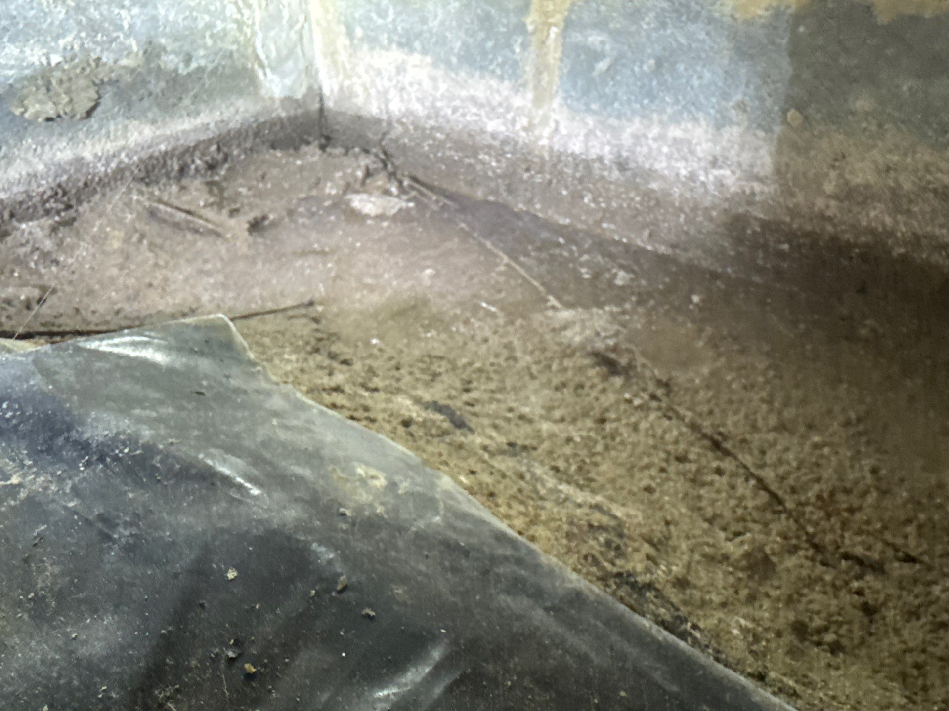 Project in Carrsville by Patriot Crawl Space Repairs