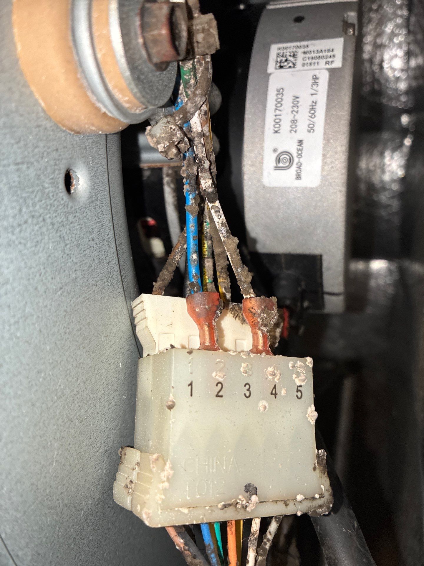 Air Duct Cleaning in Groveland by Hygienic Air, Inc