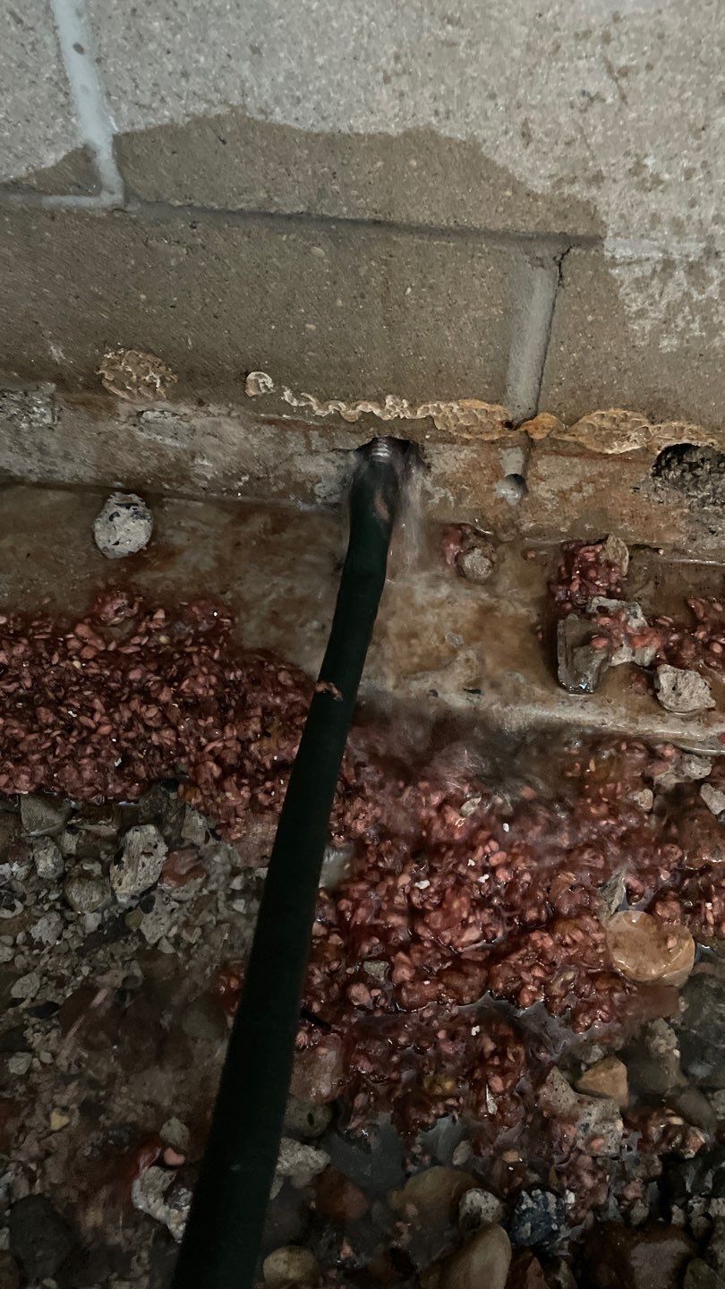 Optimizing Rob & Sue's Existing Waterproofing System by Waterproofing Northeast