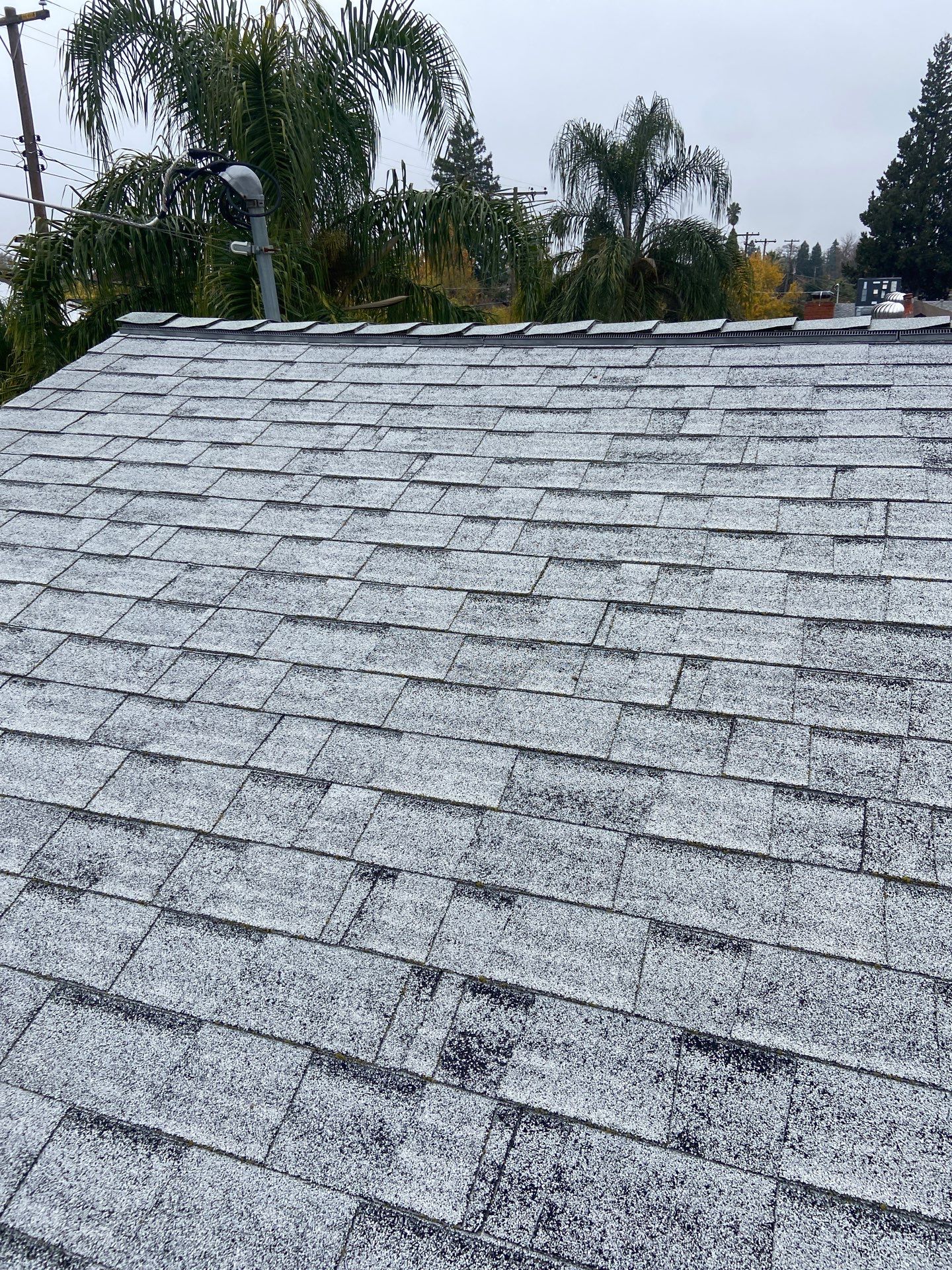 Roof Rejuvenation using Roof Maxx Treatment by Roof Maxx of Folsom