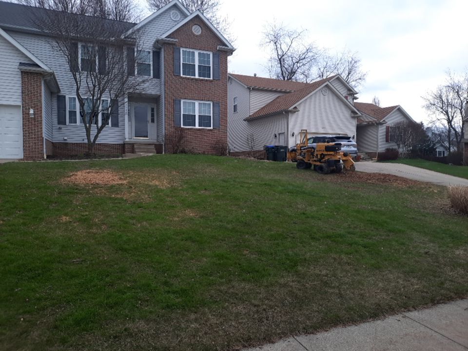 Tree Removal using Tree Removal by Mike Jones & Sons Tree Service LLC 