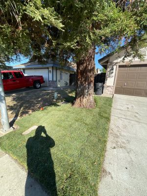 Project in Galt