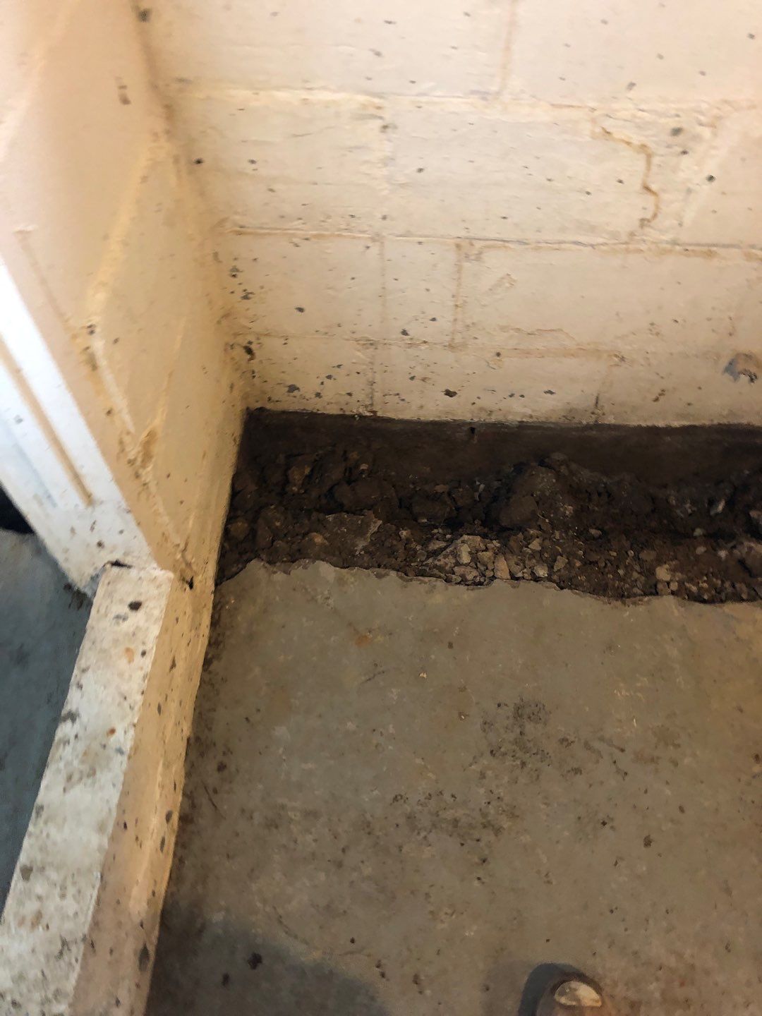 Basement Waterproofing using Drain tile system and a foundation wrap by ACE Waterproofing & Basement Solutions