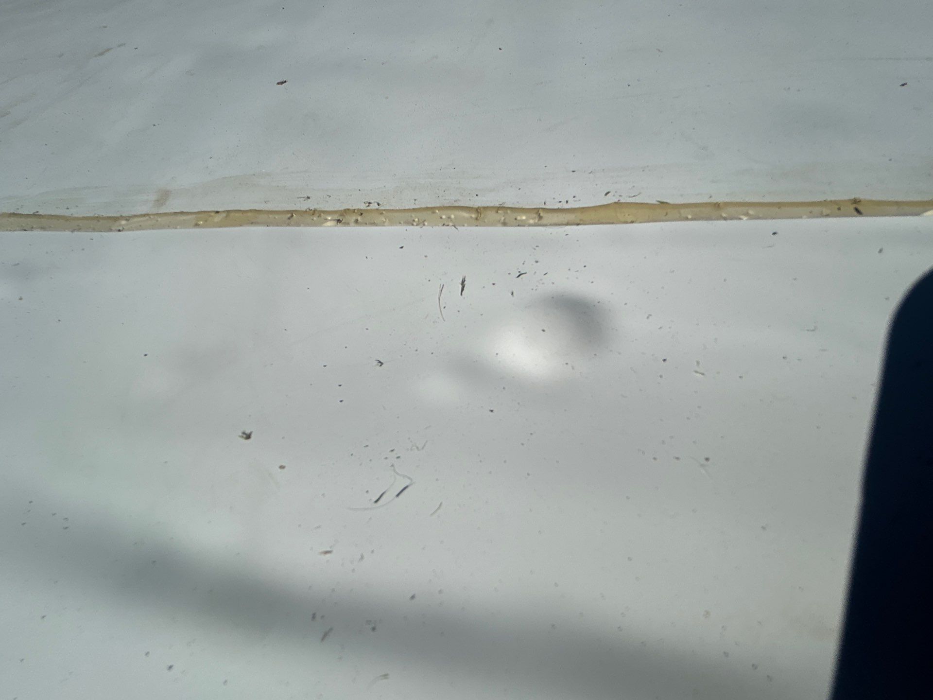 Falls Church :  TPO by RM Banning, Inc.