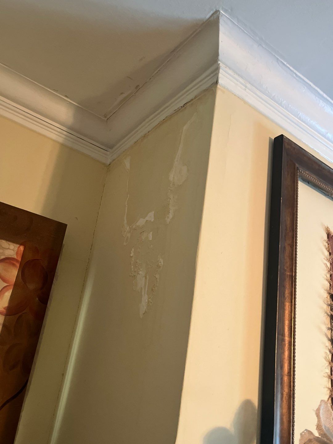 Residential Roof Replacement using Owens Corning Trudef Twilight Black by Inspector Roofing and Restoration