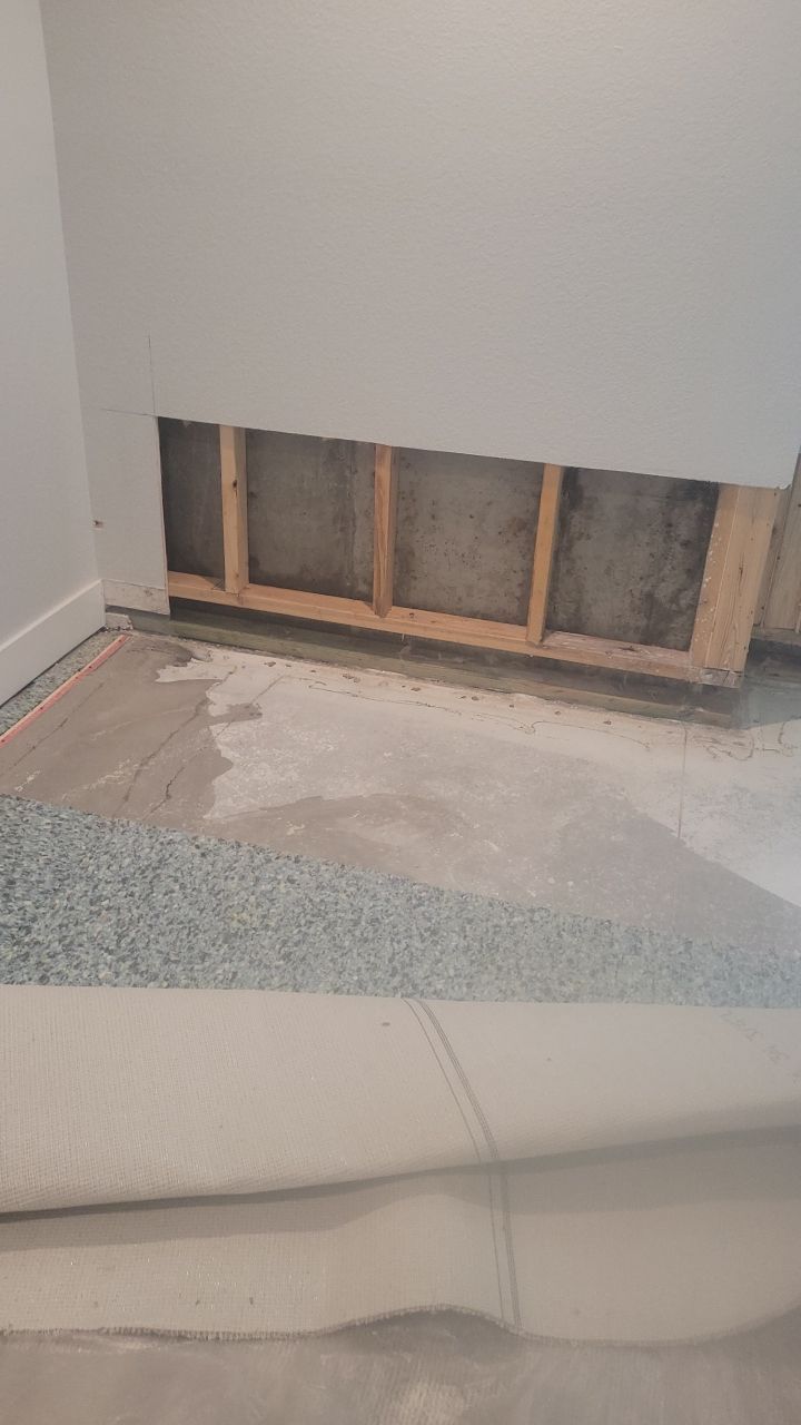 Mold Remediation  by Accountable Home Services