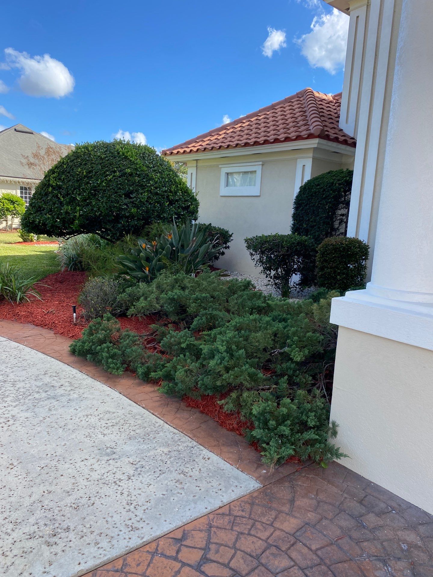 Deerwood Resident | Palm Trimming & Ground Cover by ProGreen Services
