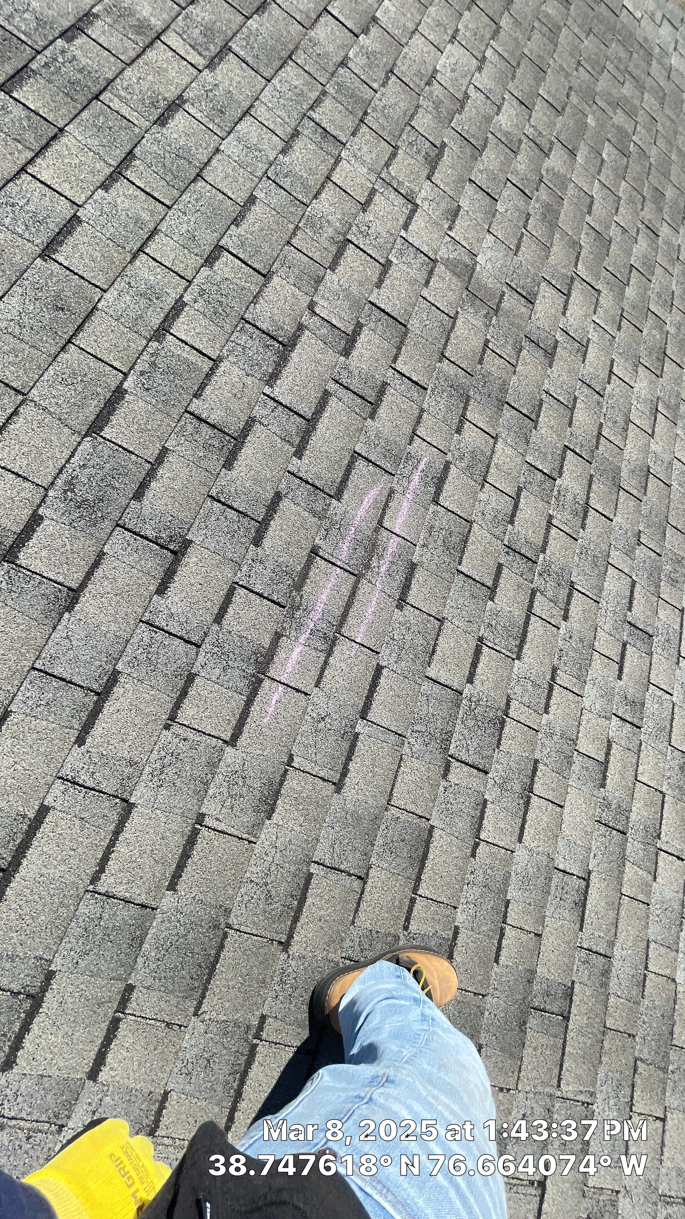 Residential Roofing Installation using IKO Dynasty Architectural Shingles by Window Depot of Annapolis