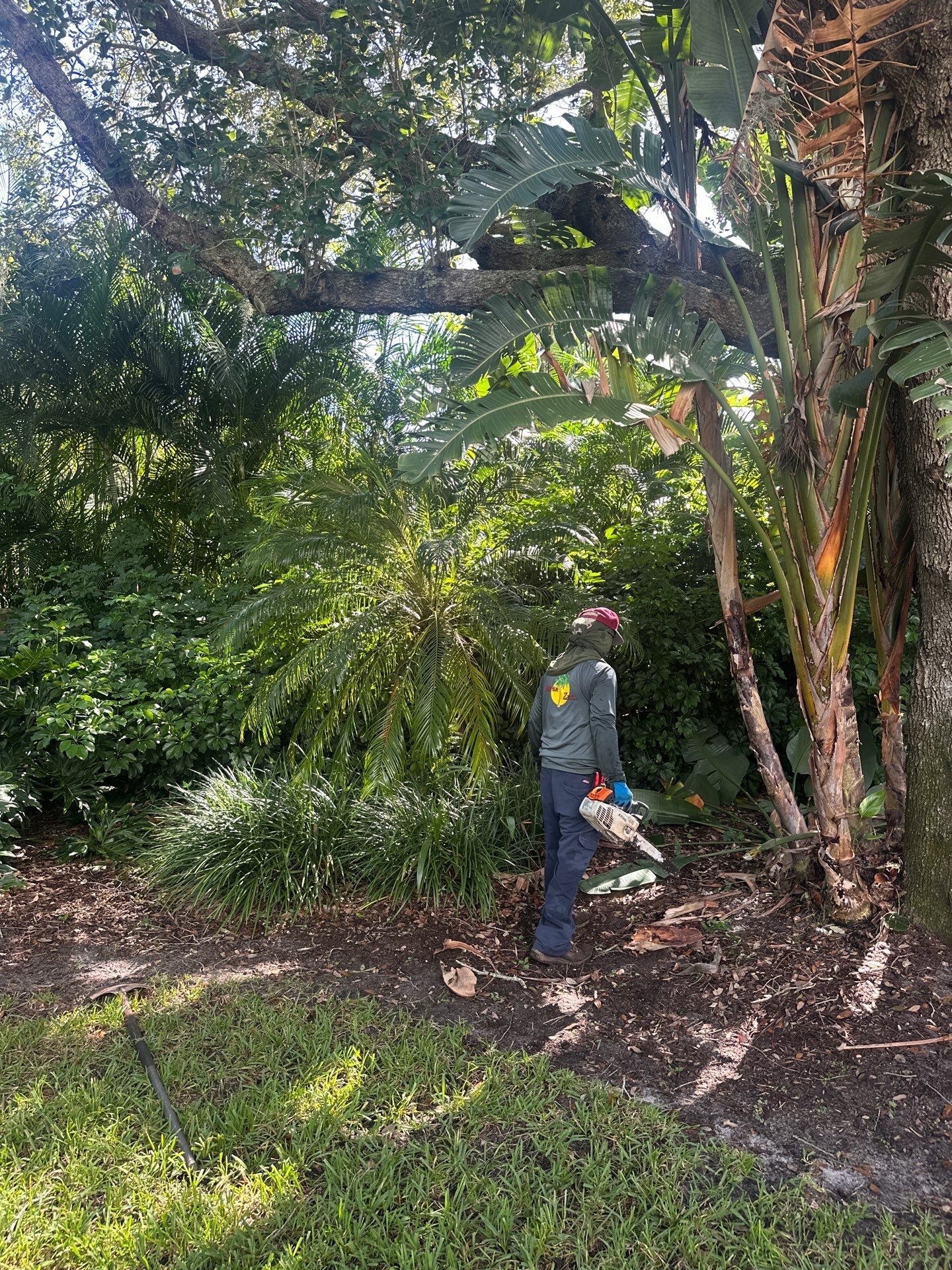 Sewall's Point Phase 1 - The Art of the Cutback by Alpha Zeta Enterprises Inc