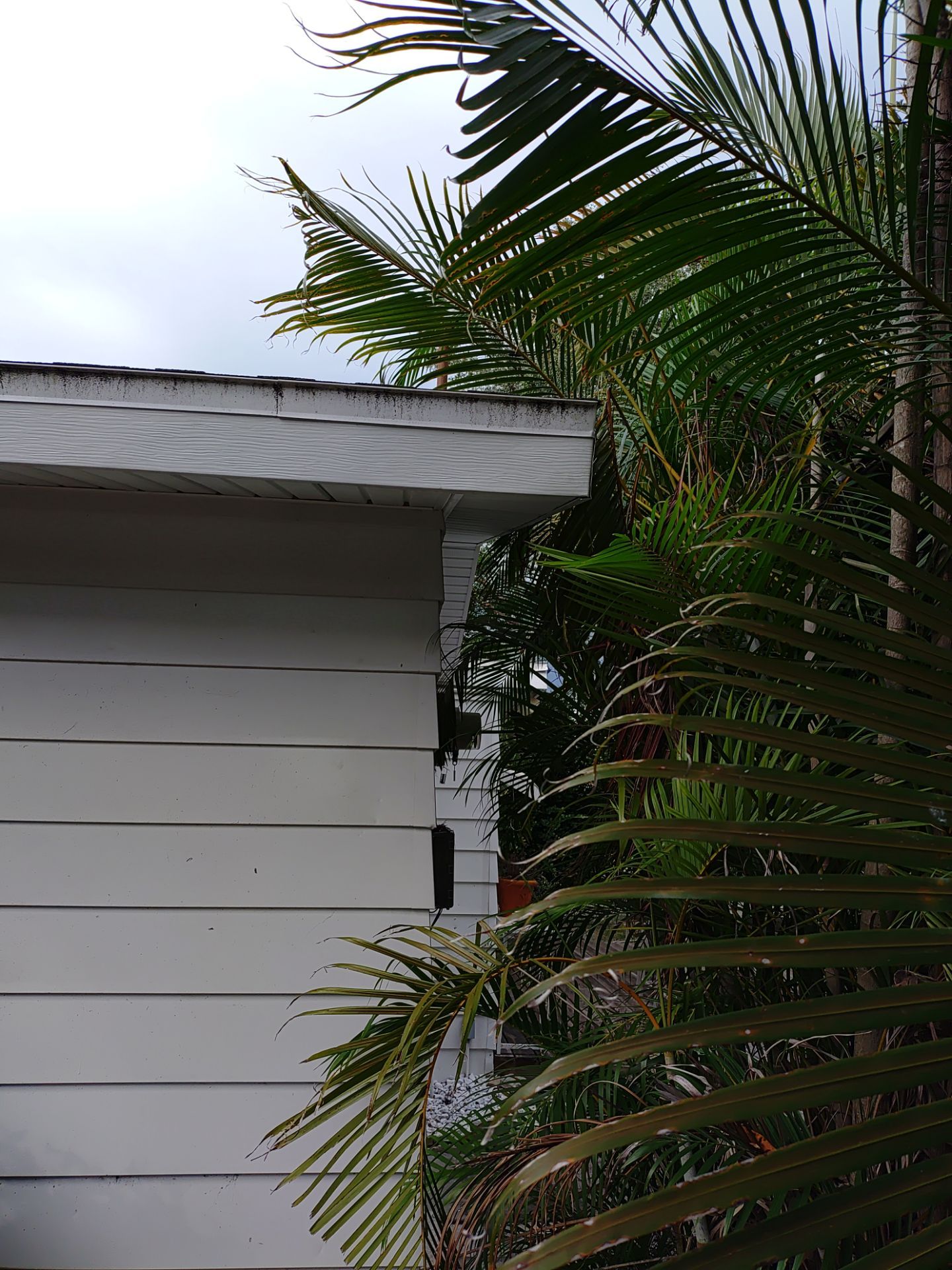 Custom Gutter Guards Installation in Sarasota FL by Gutter Professors
