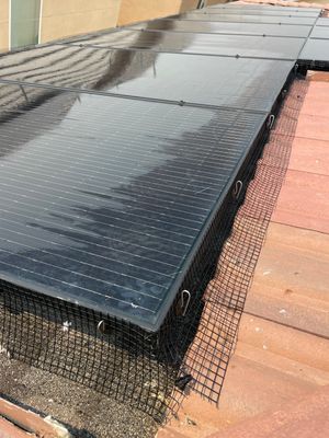 Solar Panel Bird Proofing in Ontario Ca