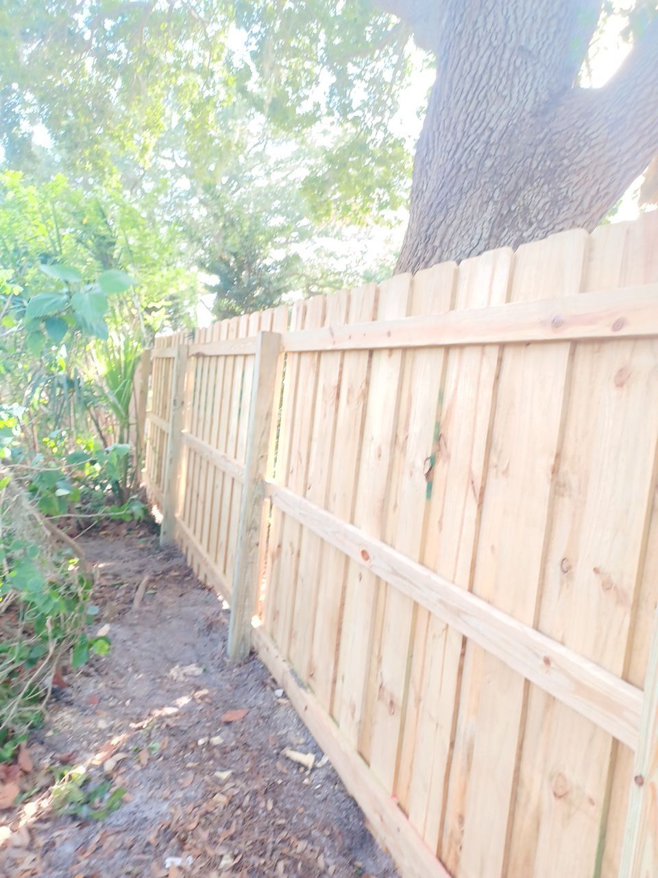 Sarasota, FL 6ft. Tall Treated Board on Board Wood Fence by Asap fence and gates, LLC
