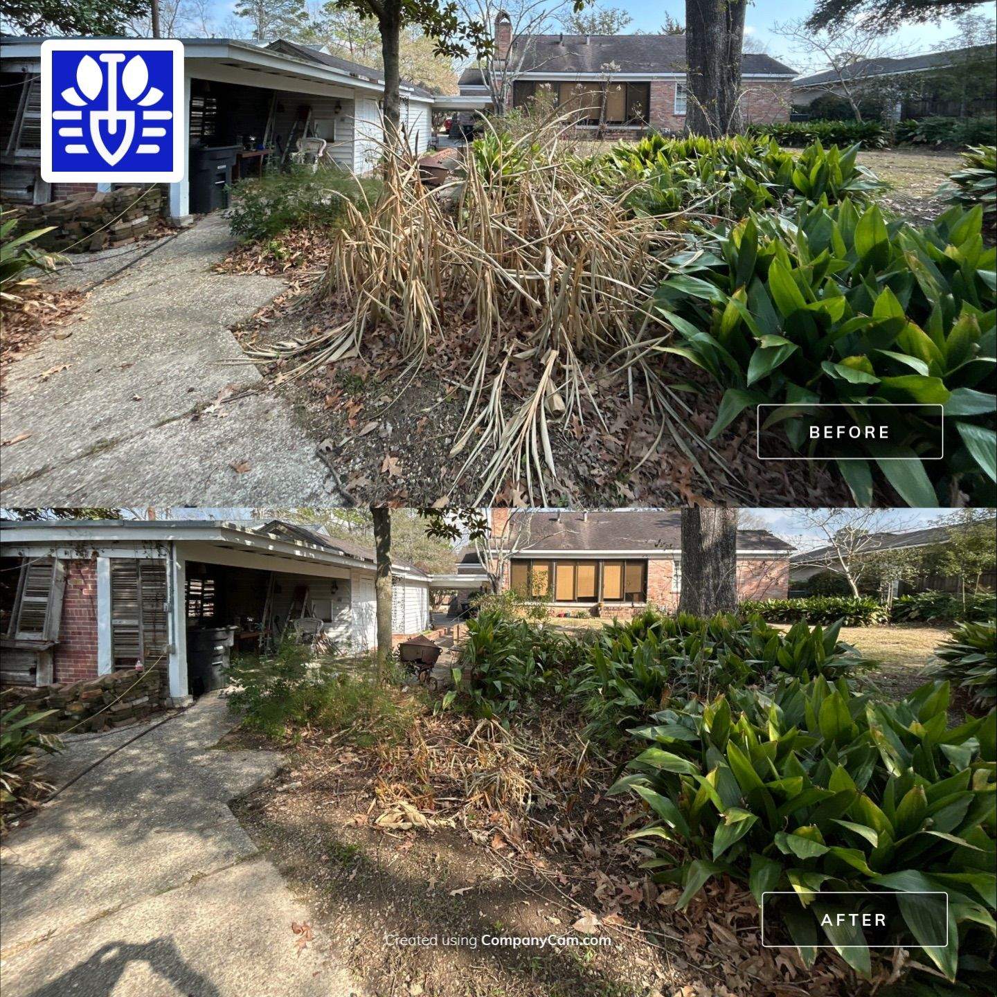 WINTER SERVICES: FULL LEAF JOB by CutScape, LLC.