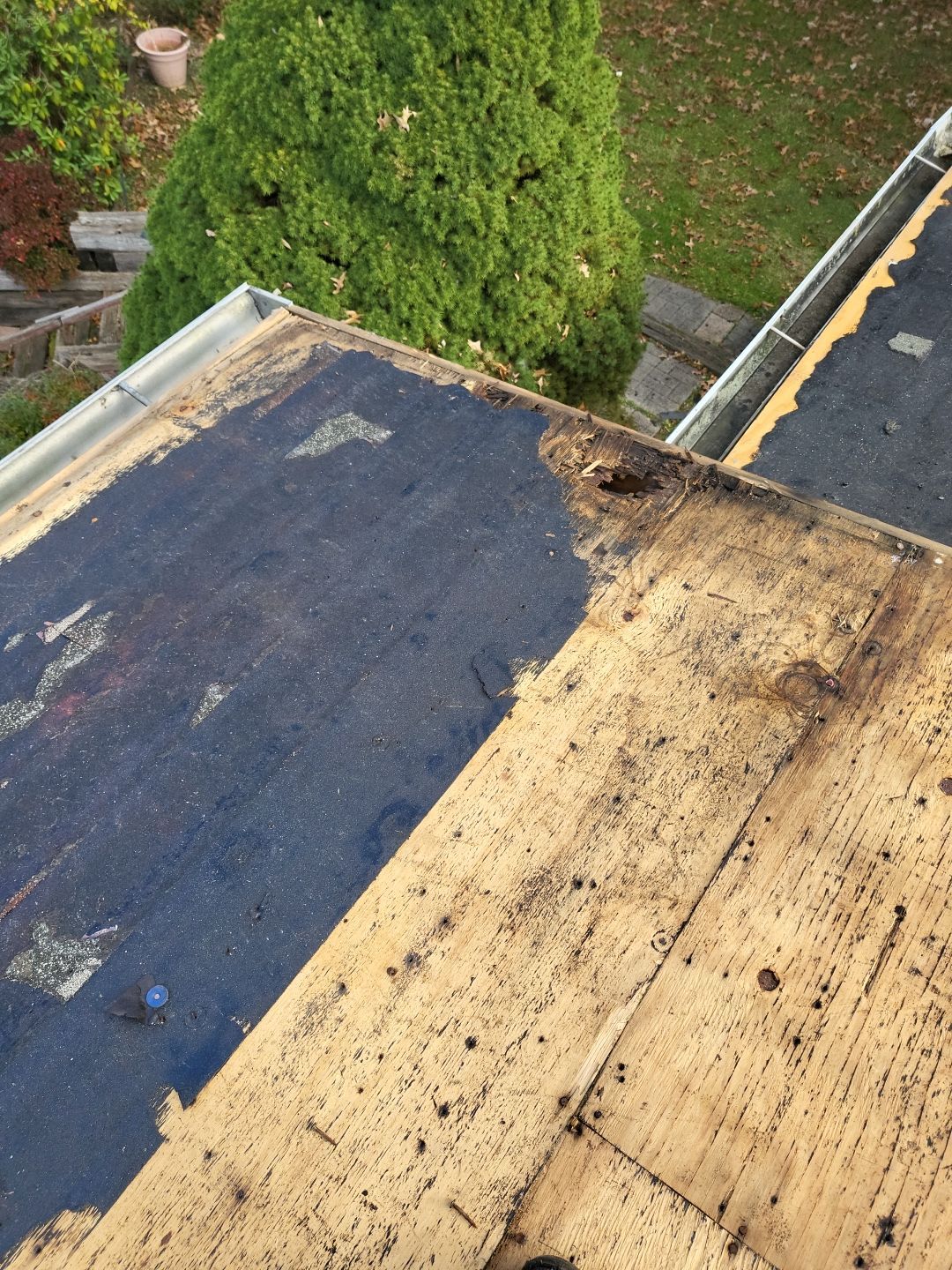ATLAS PINNACLE COLOR: BLACK SHADOW DRIP EDGE: BLACK by Eagle Eye Roofing