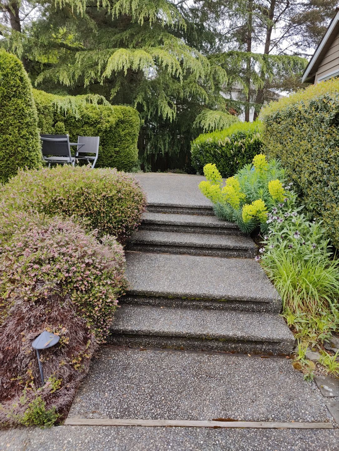Premium Pressure Washing in Bellevue by WindowWorks