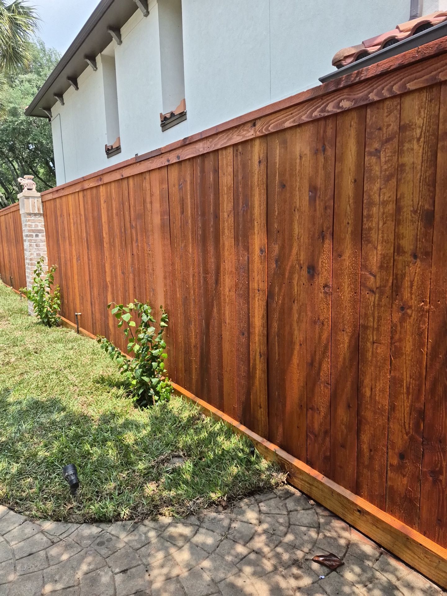 Western Red Cedar Privacy Fence with Dual-Stain Finish by Tim's Fences