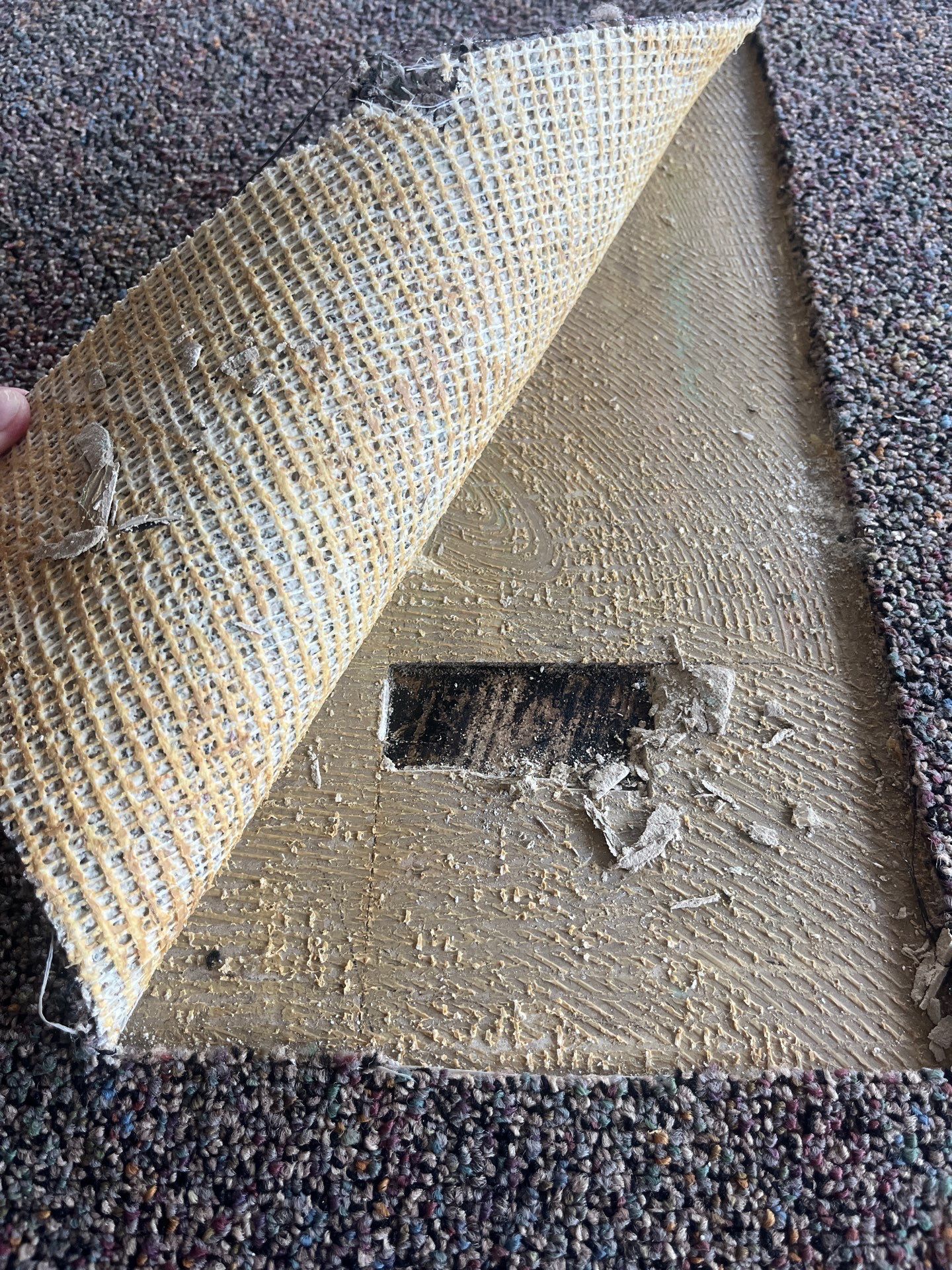 Commercial Abatement by EAS Environmental, LLC.