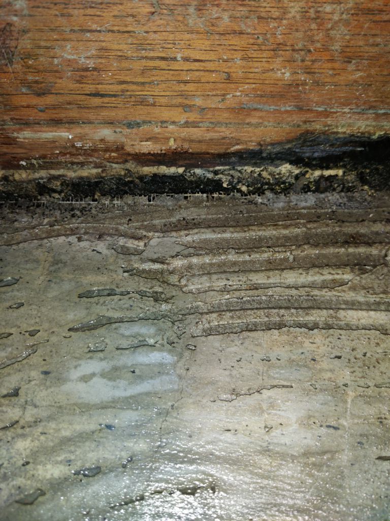 Mold Remediation using Containment by Accountable Home Services