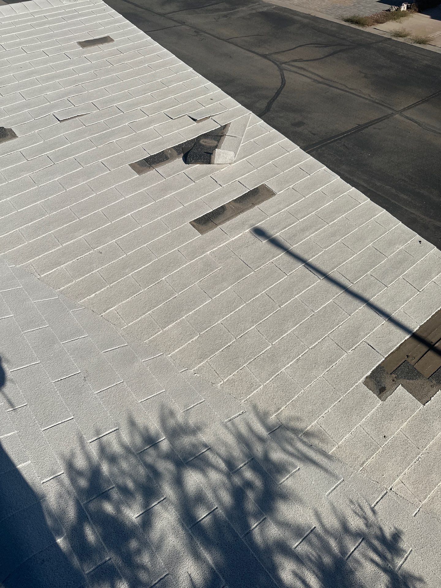 Silver Birch Shingles by Reimagine Roofing