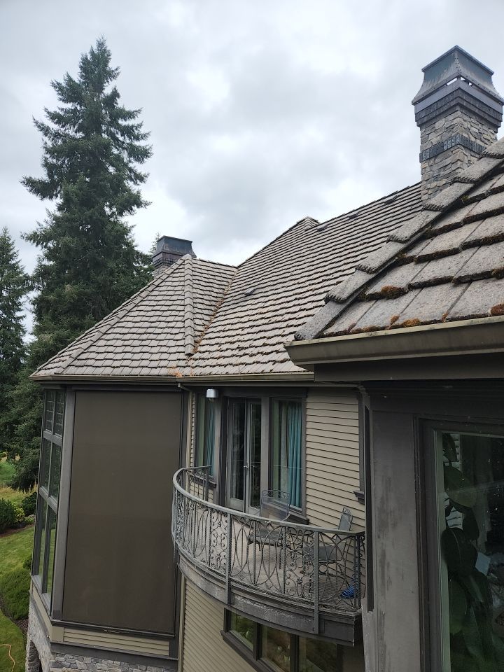 Moss Removal/ Treatment using Biocide by Willamette Outdoor Wash LLC