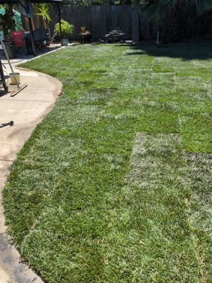 Project in Yuba City