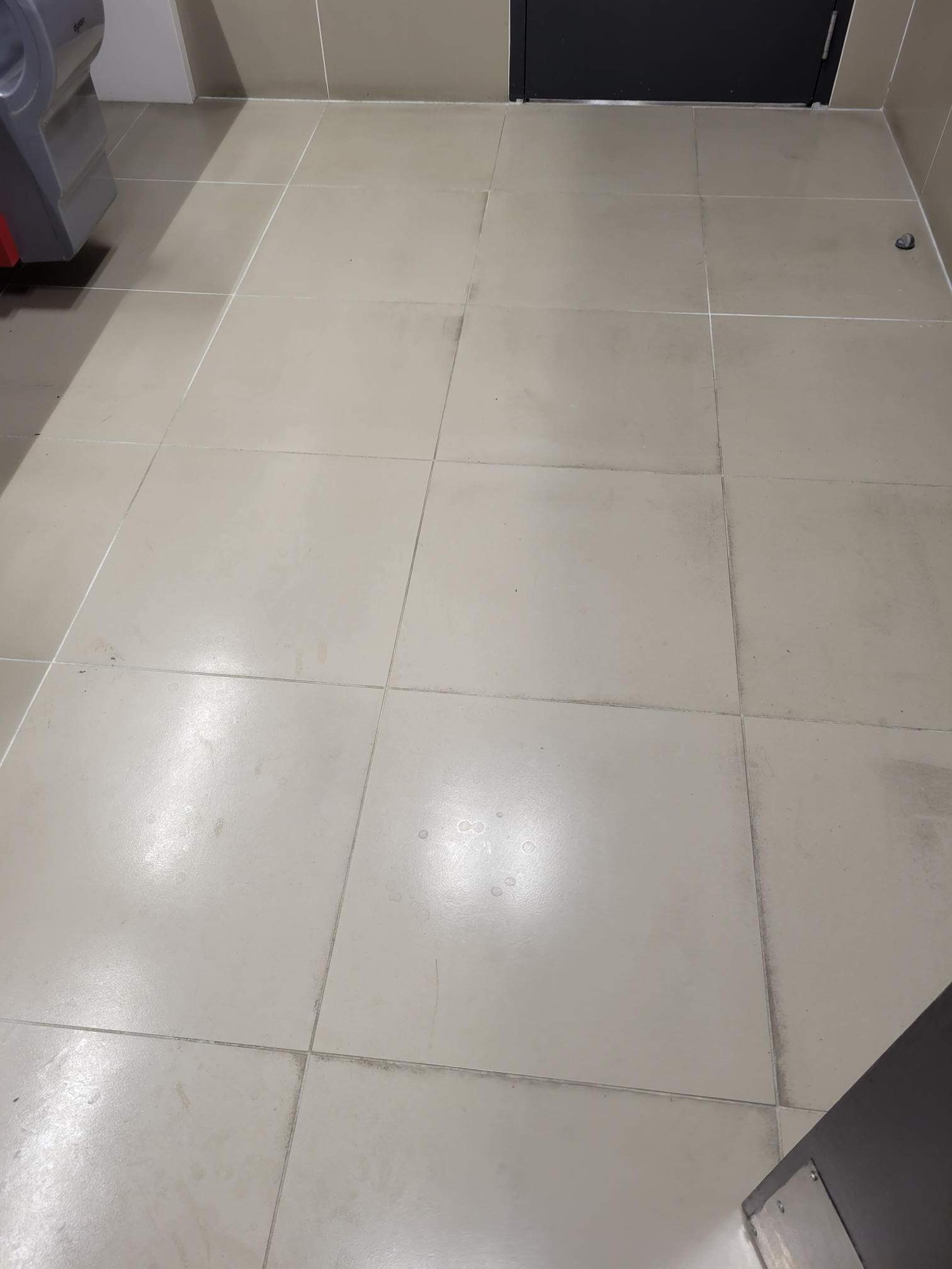 SaniGlaze Removal and reconditioning using CareGuard by Corporate Care