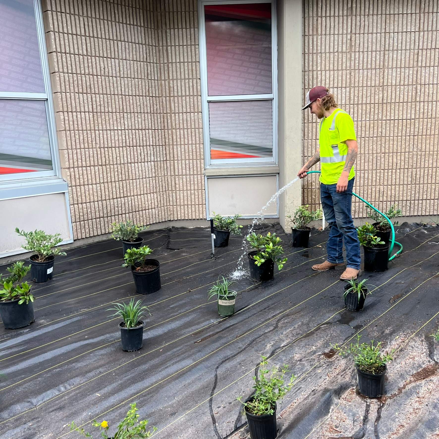 Landscape Install | Wilkinson JHS by ProGreen Services