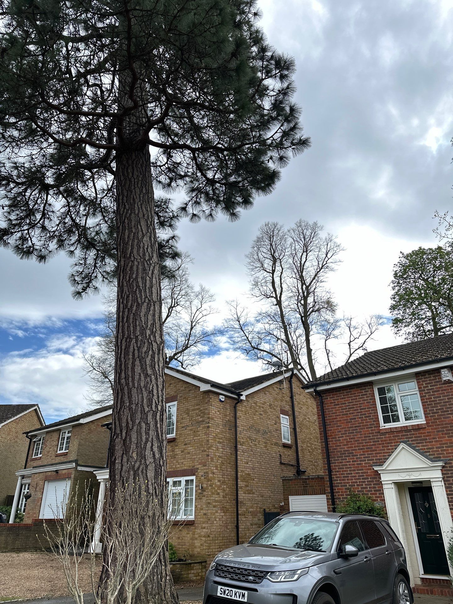Roof Clean  - Moss Removal - Gutter Clean using Honda 15lpm Low Pressure Washing Machine by Ges Exterior Cleaning ltd