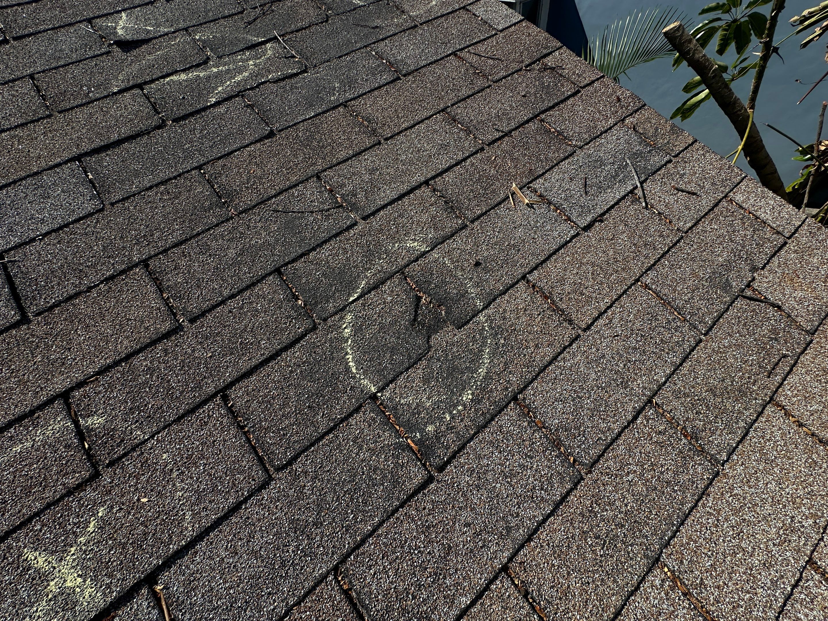 Roof Damage Claim in St. Petersburg by FLAPA & KeyStone