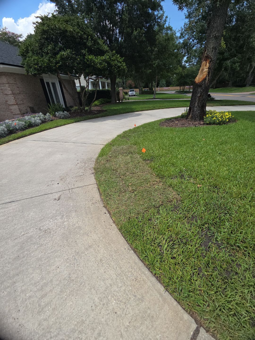 Deerwood Resident | Sod Installation by ProGreen Services